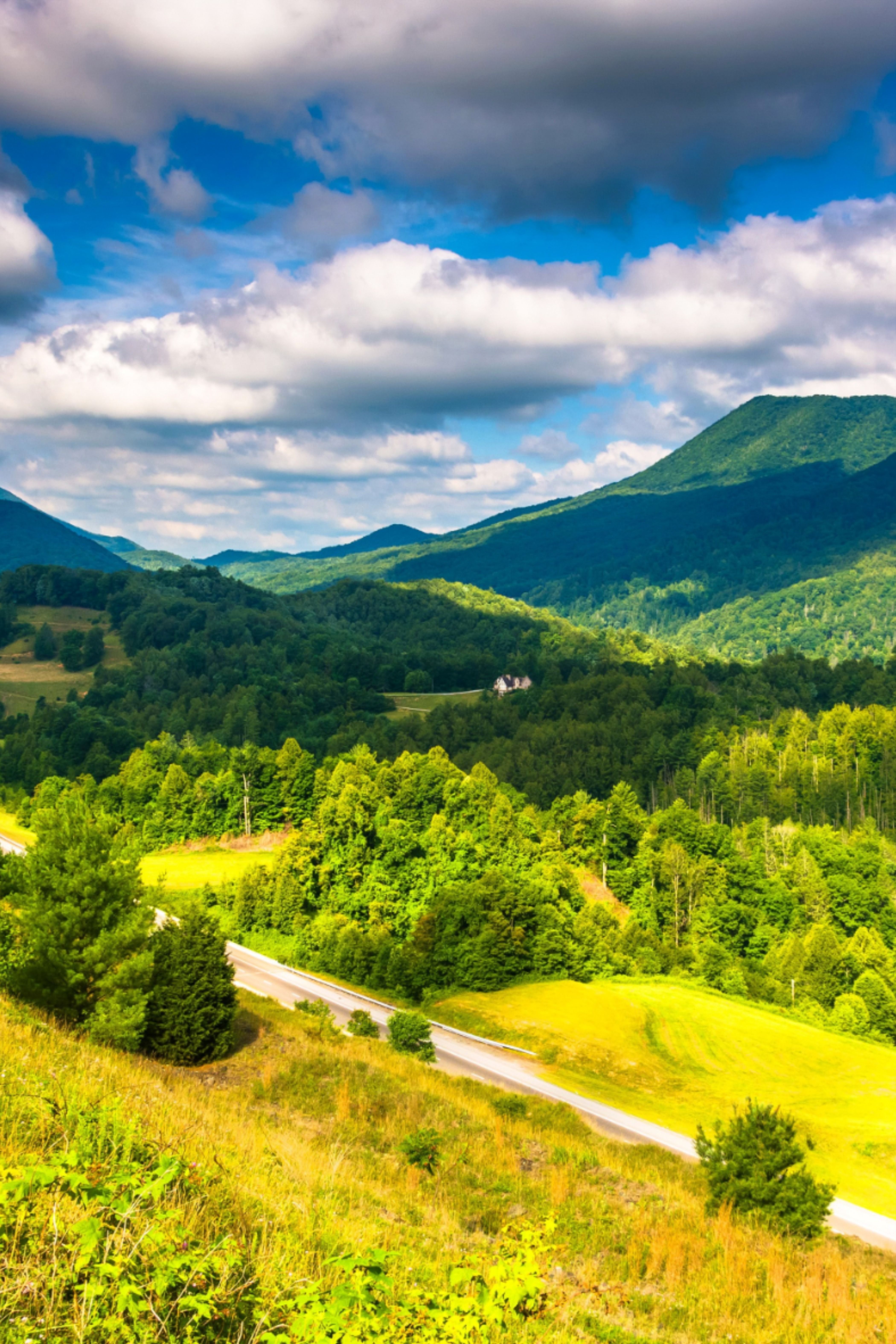 Christmas wallpaper background