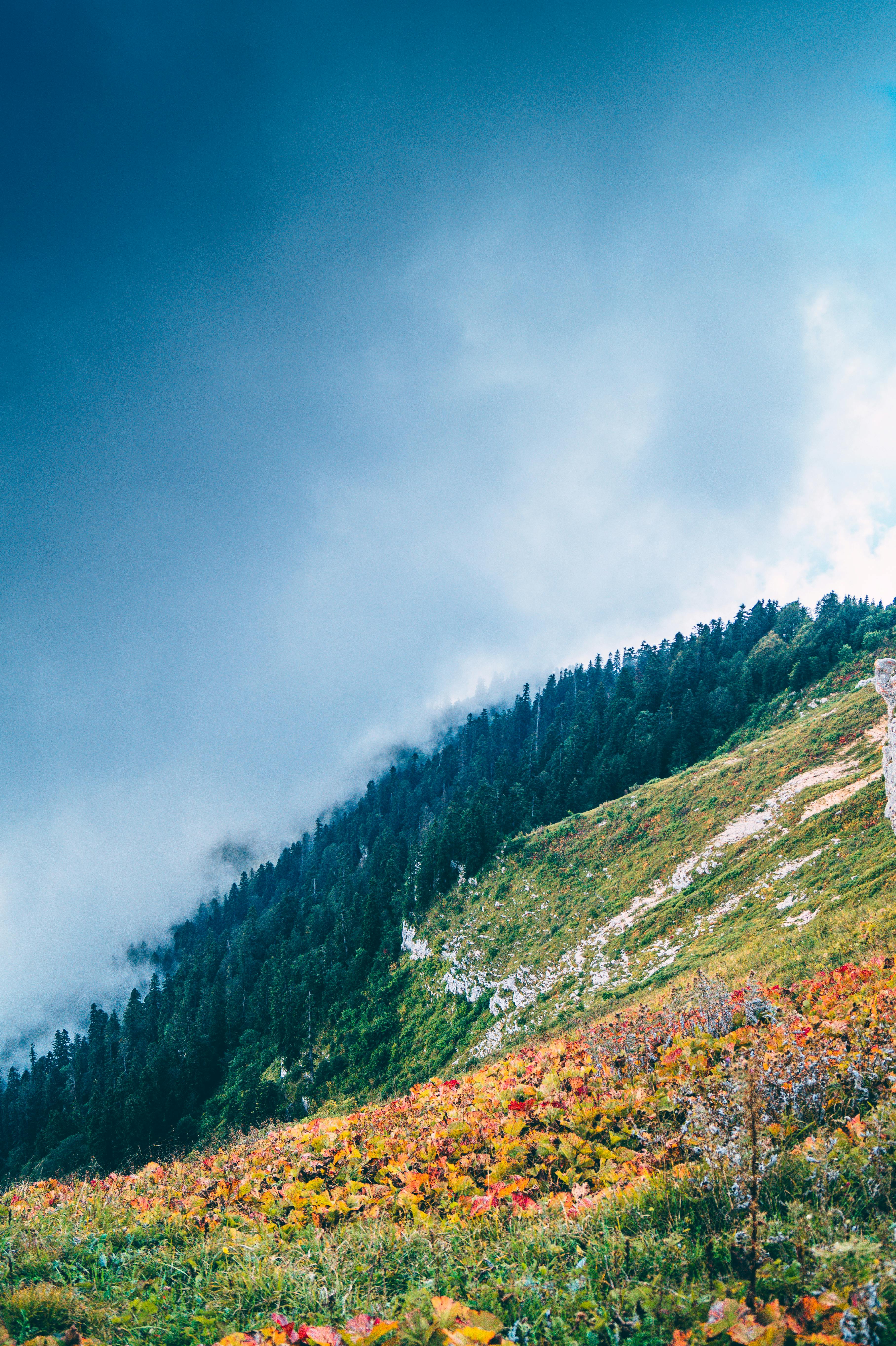 View of Hills · Free