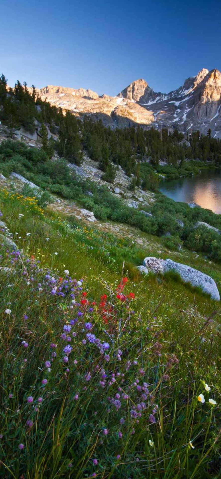 Download Majestic Mountain Landscape