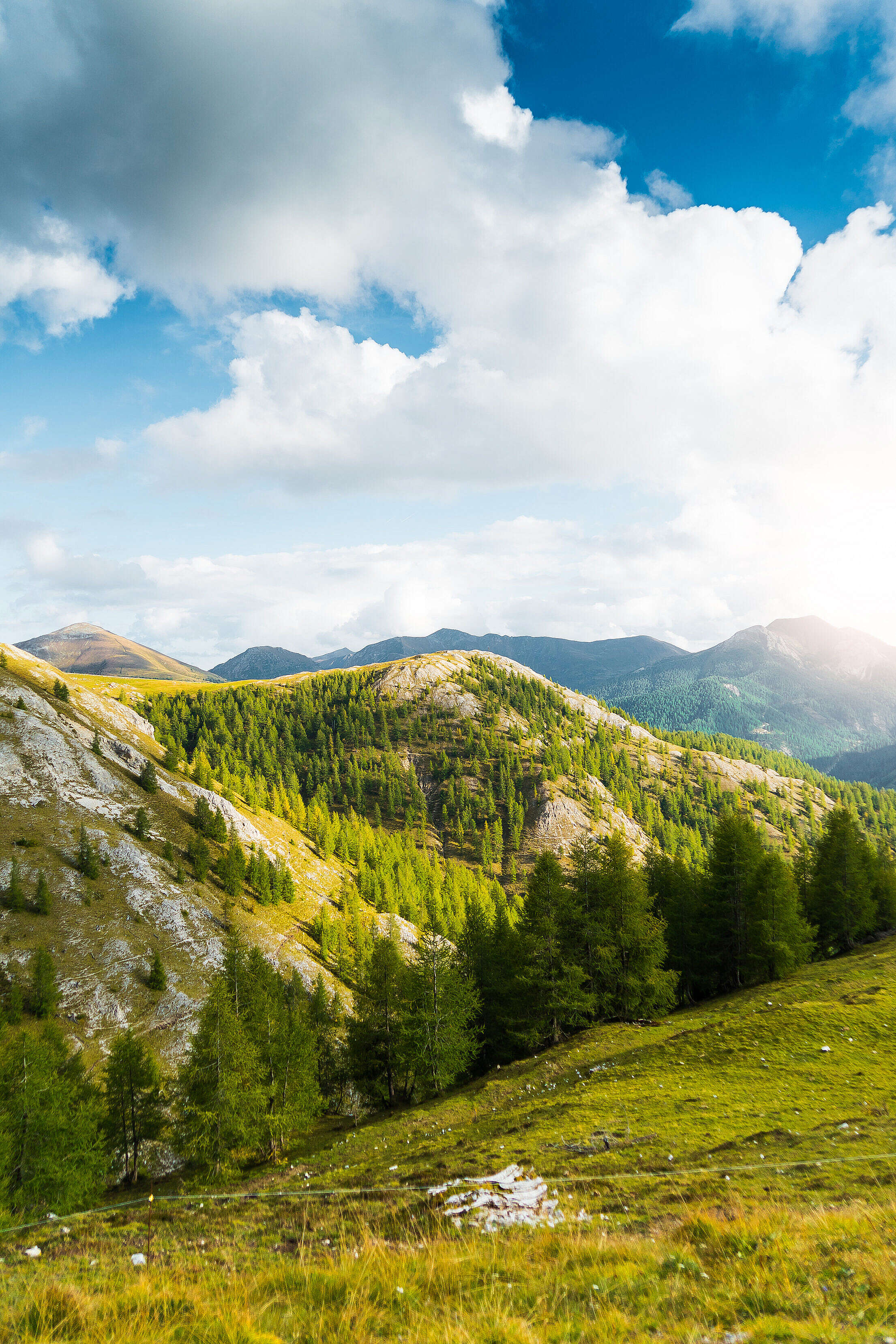 Scenery Around Nockalm Mountain Road