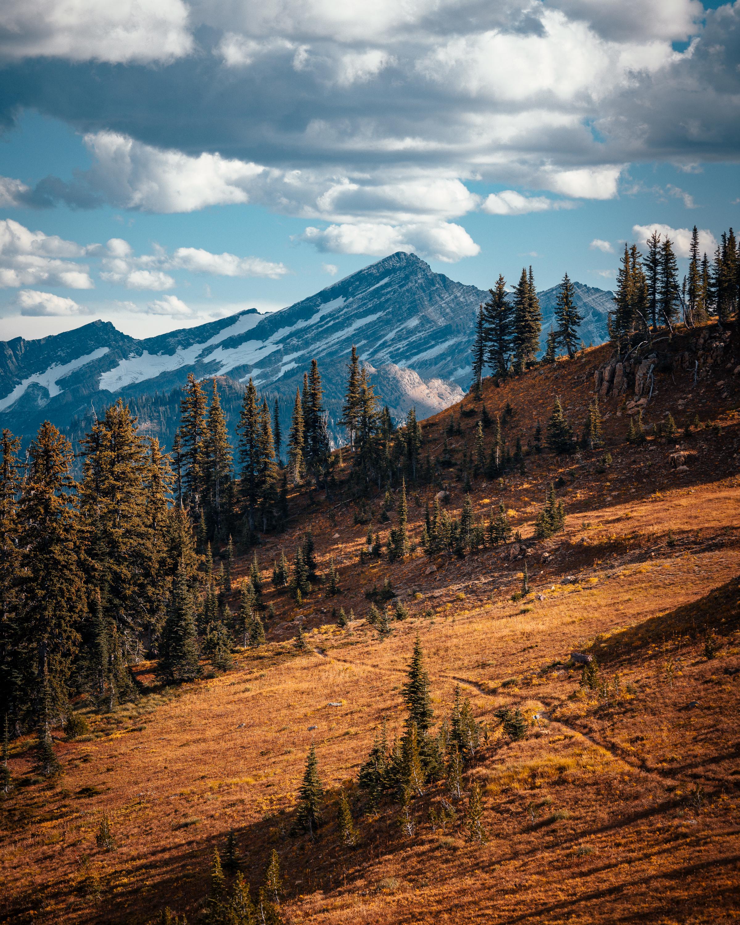 Mountain view outside Kalispell, r