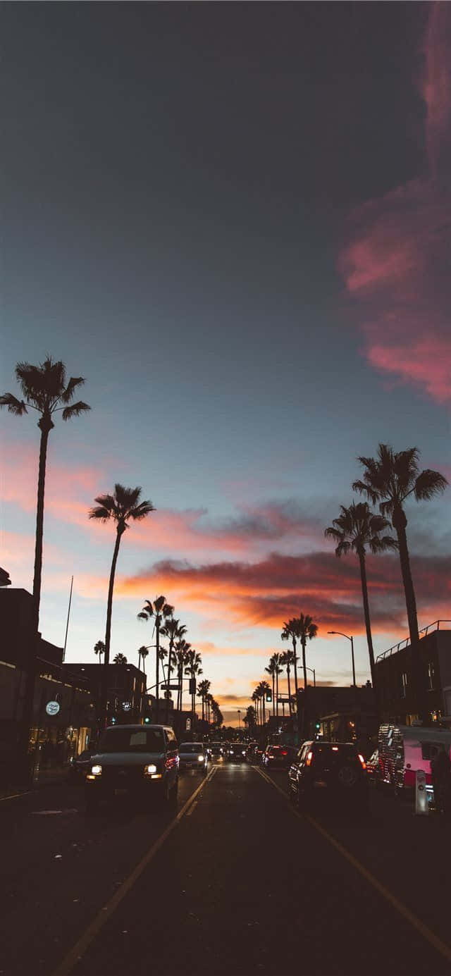California summer Wallpaper