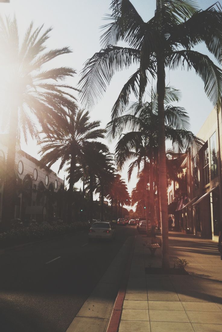 Summer wallpaper, iPhone wallpaper