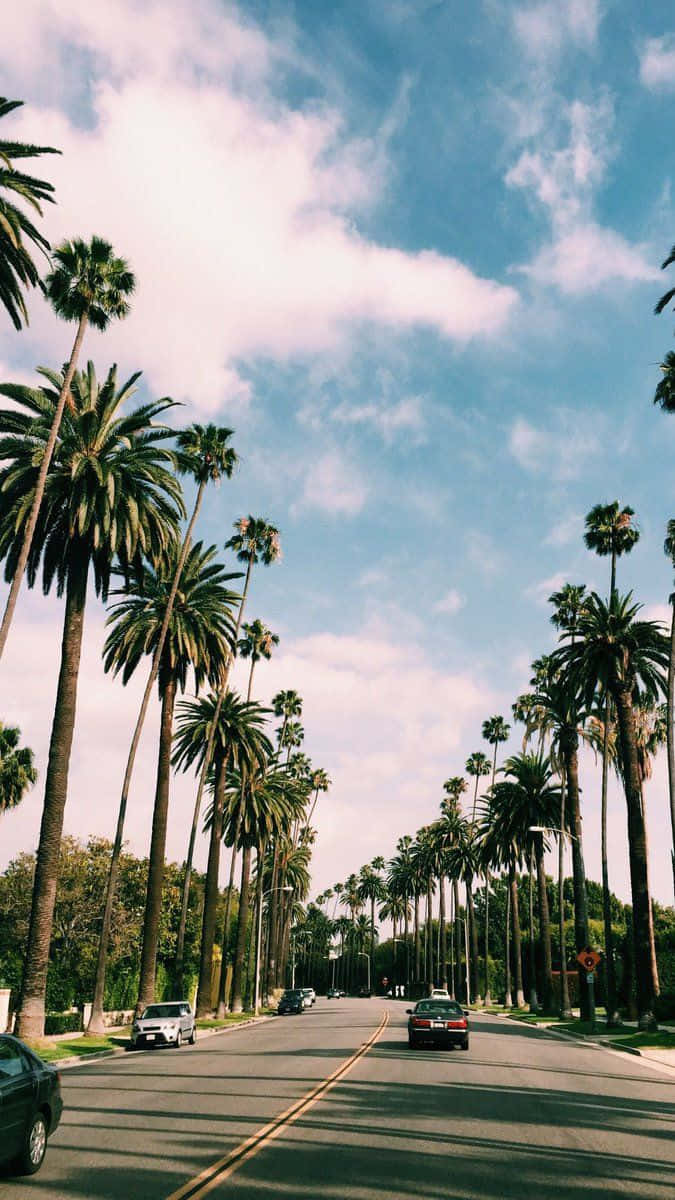 California Summer Wallpaper