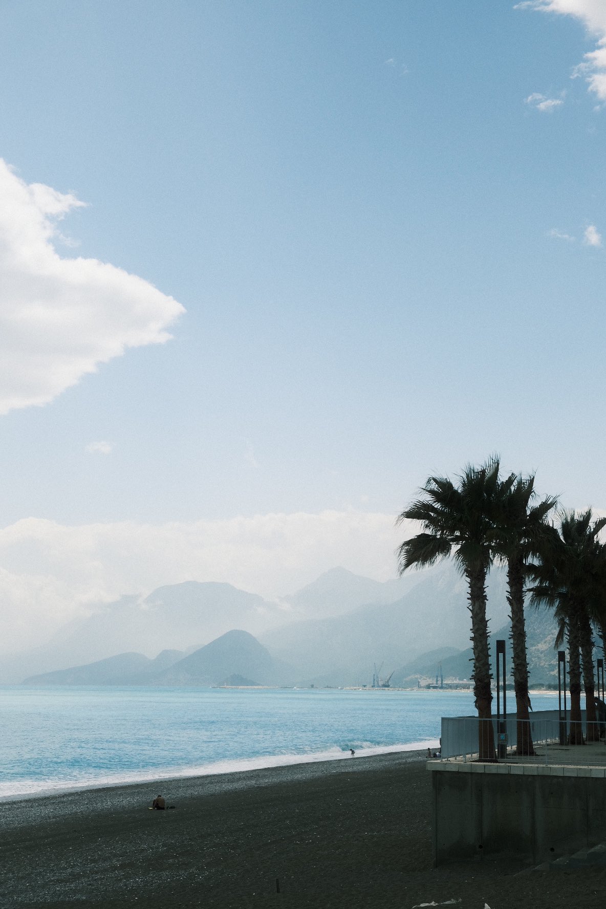 Anna Tsvell trees mood