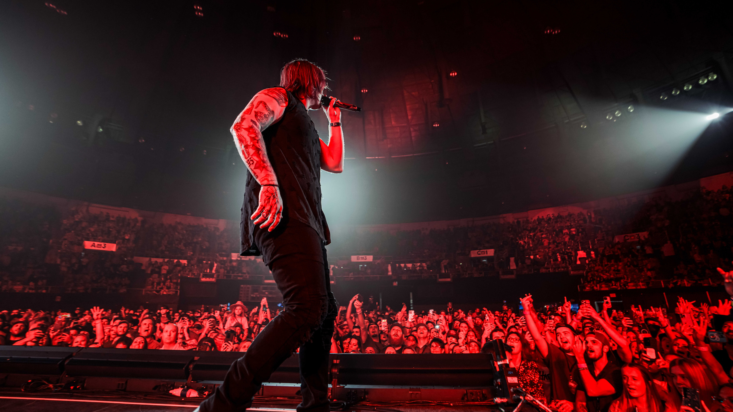 HARDY mockingbird & THE CROW