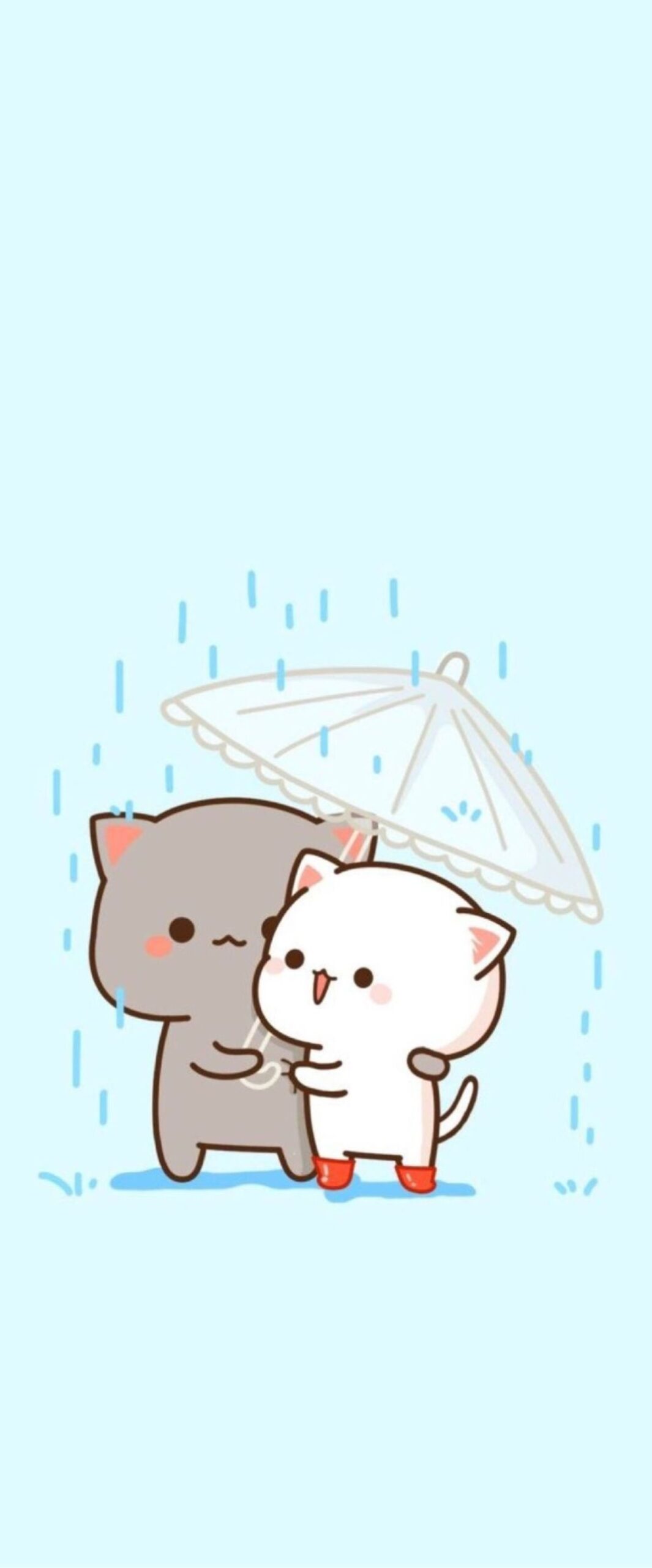 Kawaii Cat iPhone Wallpaper 4k