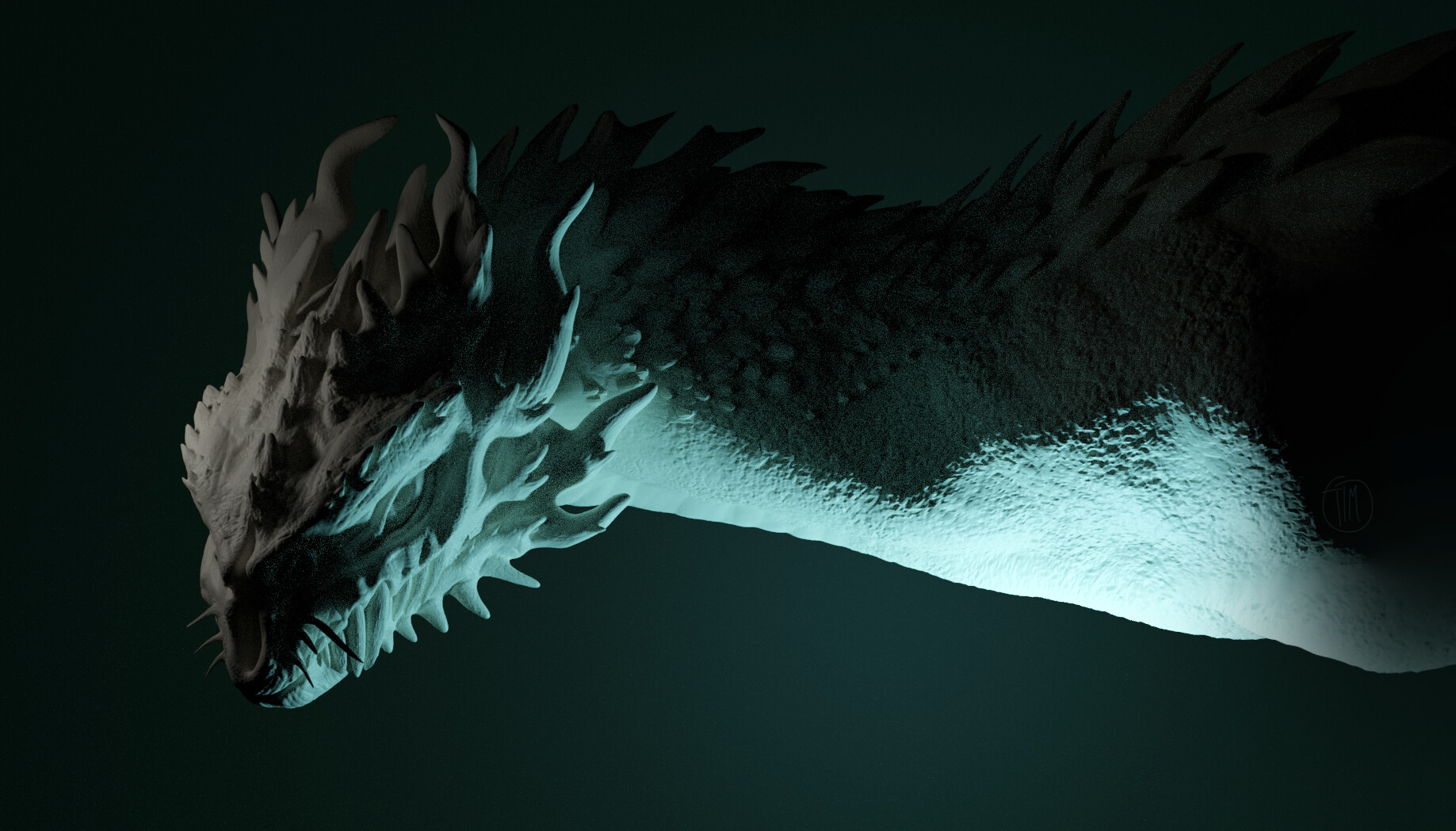 White And Blue Wyvern Wallpapers - Wallpaper Cave