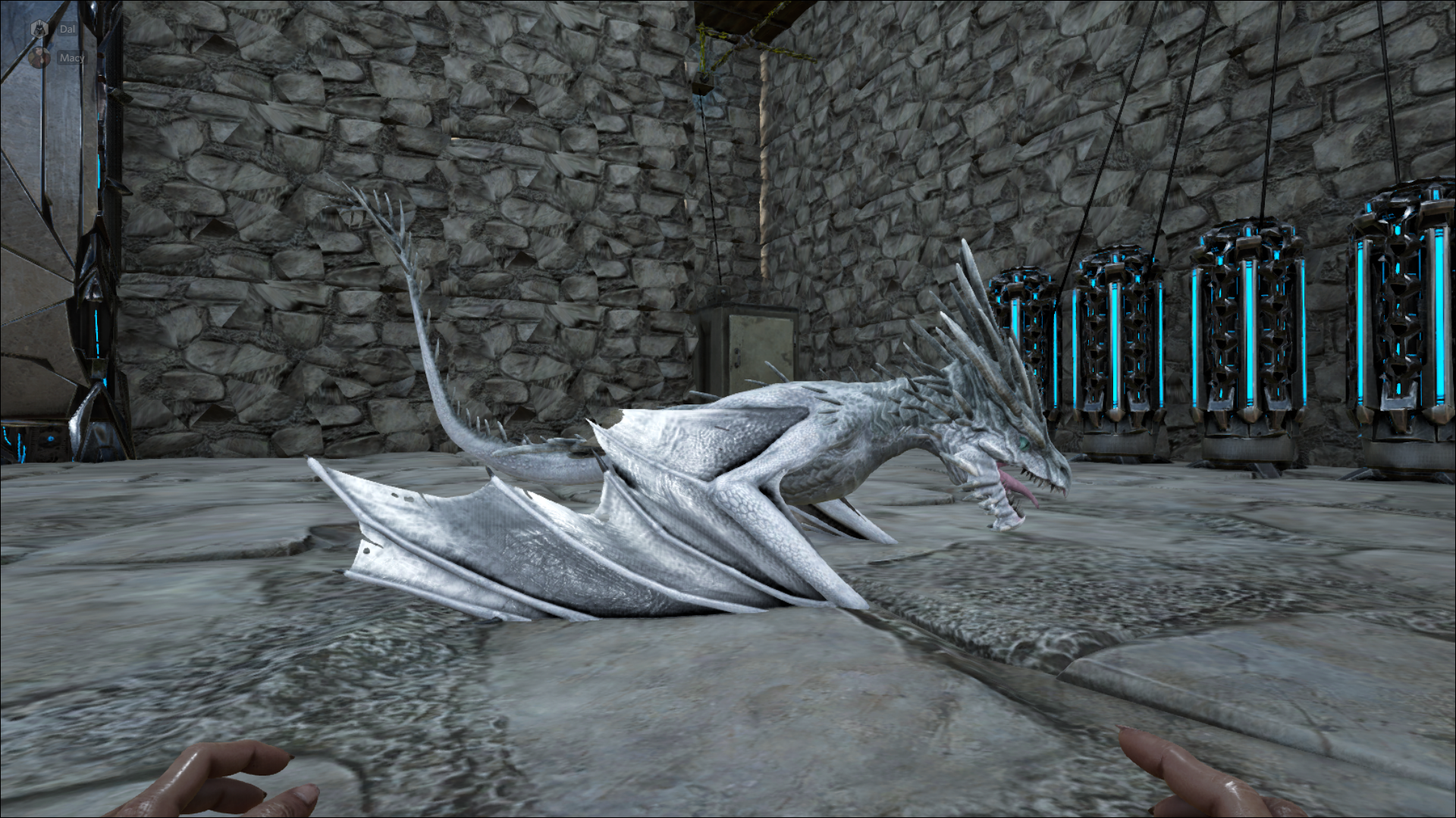 I've wanted a white wyvern and this is