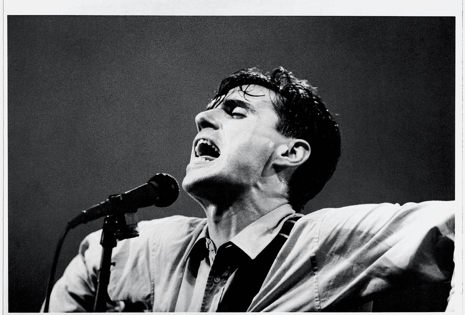Download Iconic Black and White Image of David Byrne Wallpaper