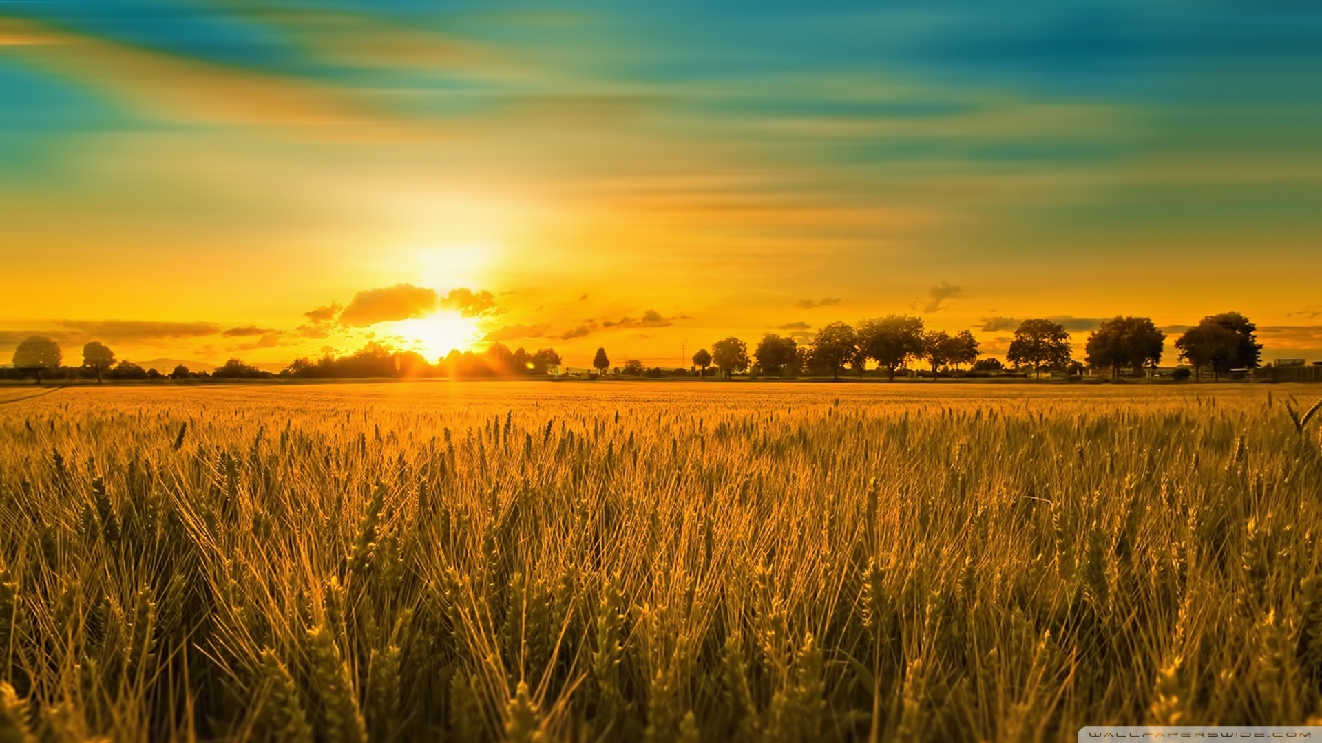 Ultra HD Desktop Background Wallpaper