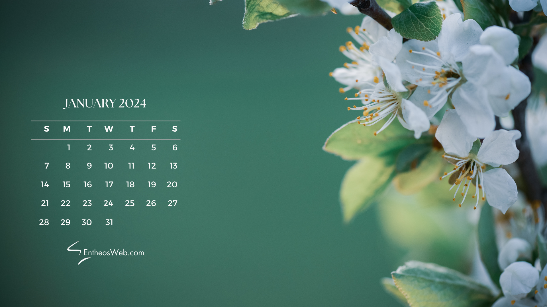 January 2024 Calendar Desktop Wallpaper