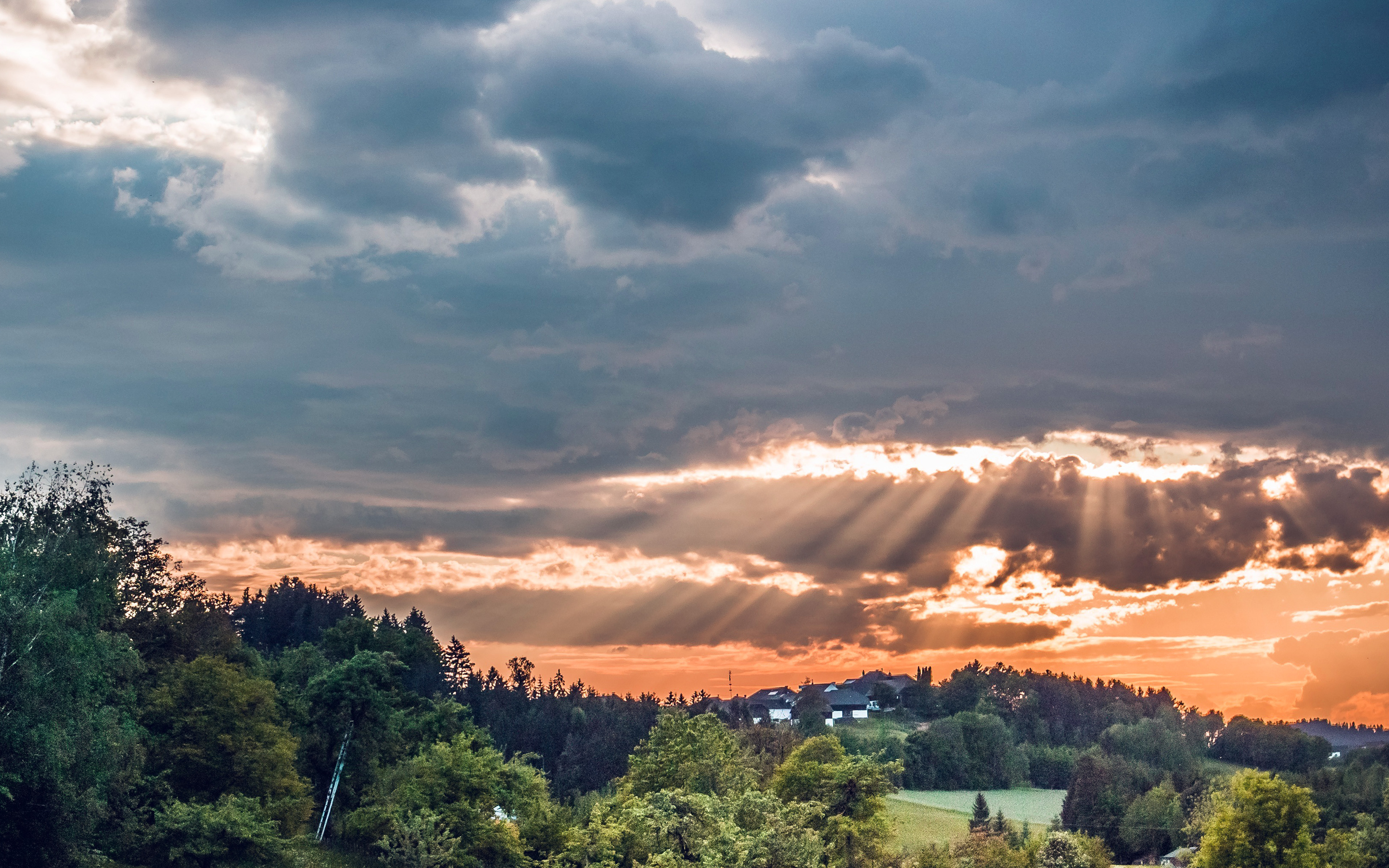 Forest Sunset Summer Mountain