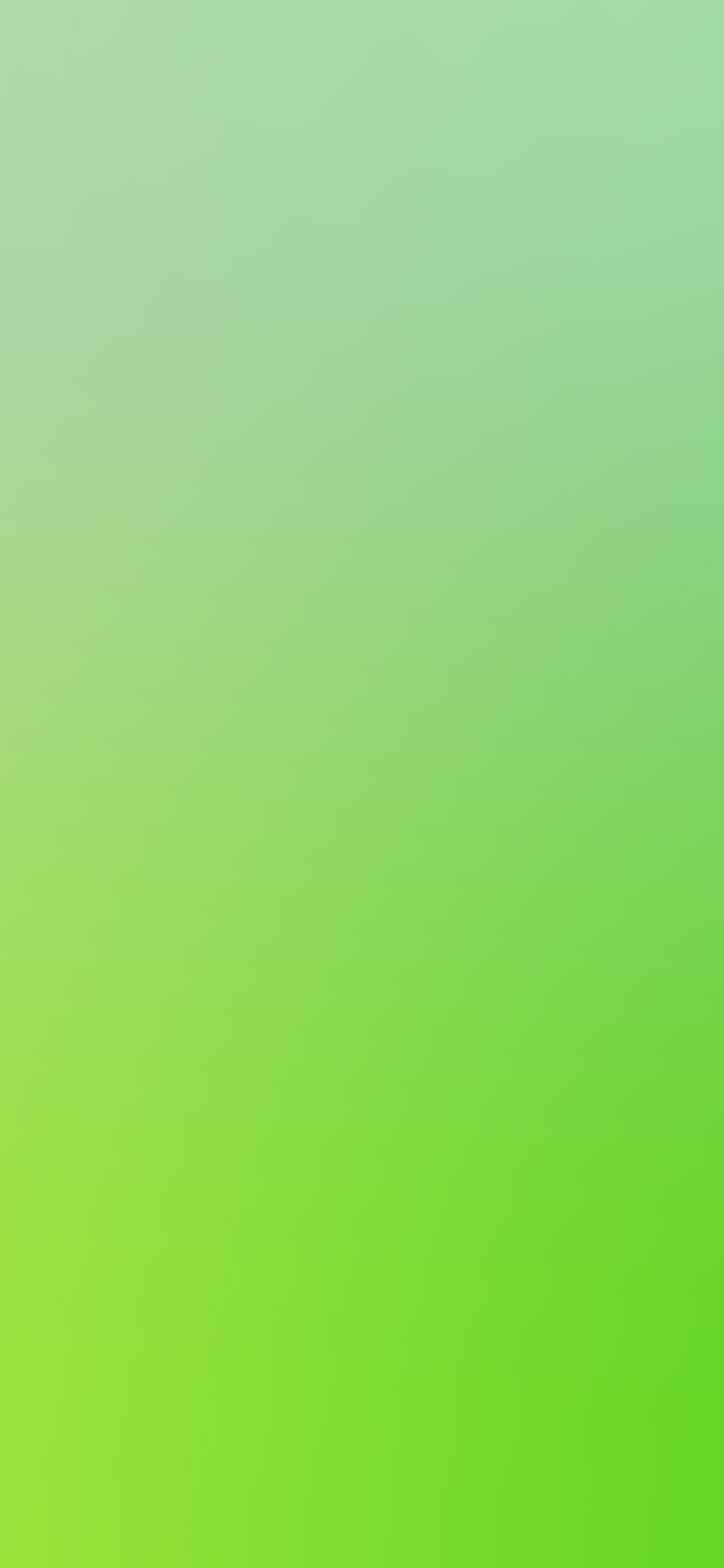 Blur Gradation Green Spring Wallpaper