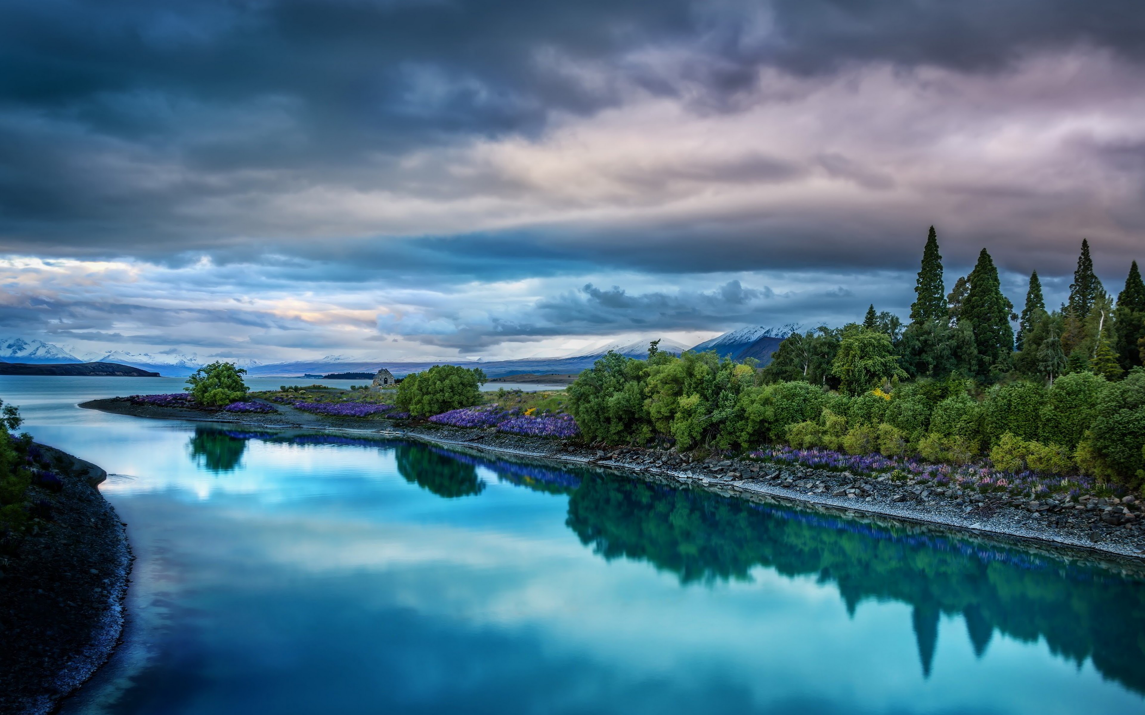 Nature Forest Scenery Landscape 4K