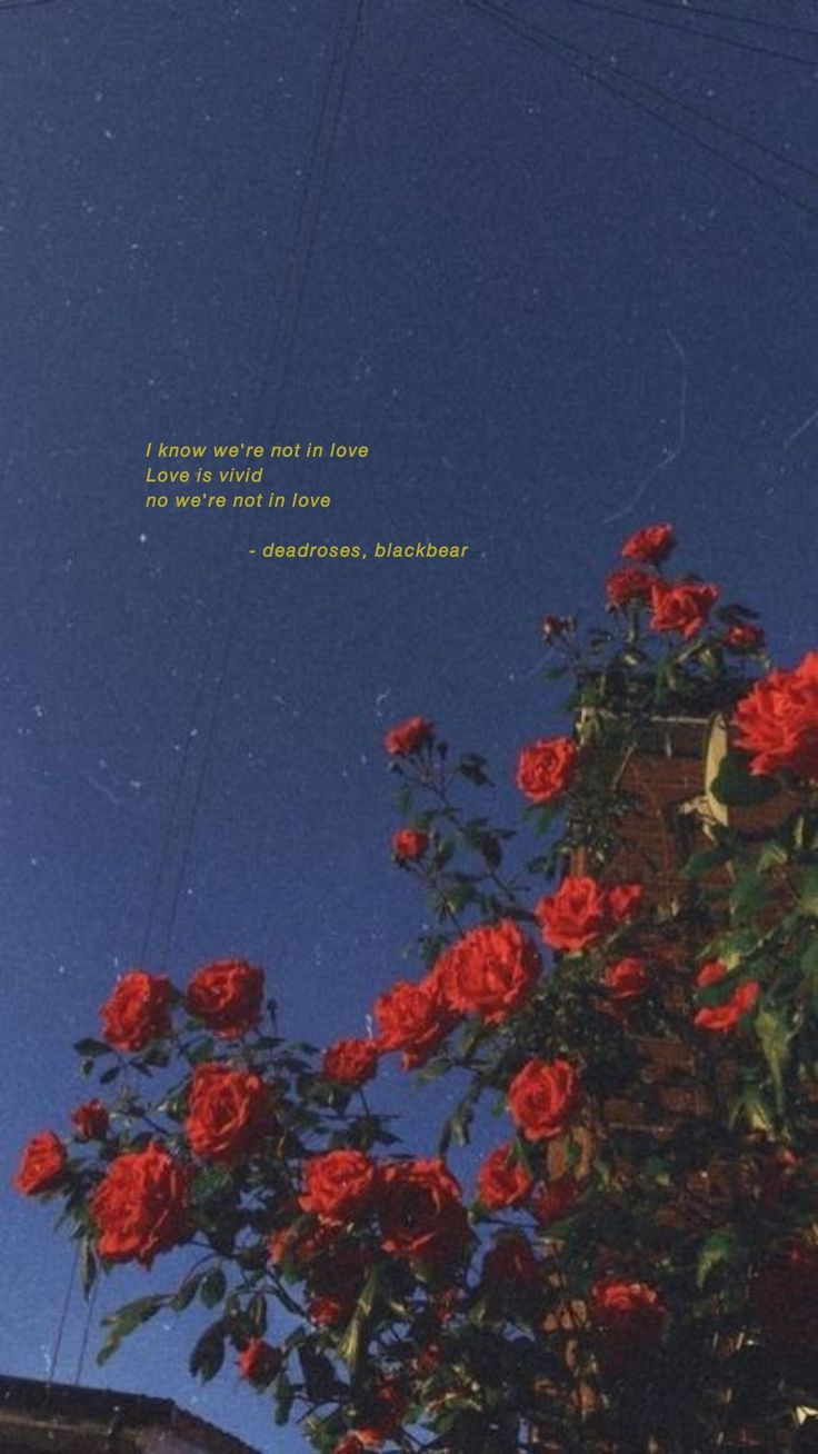 Song lyric wallpaper aesthetic