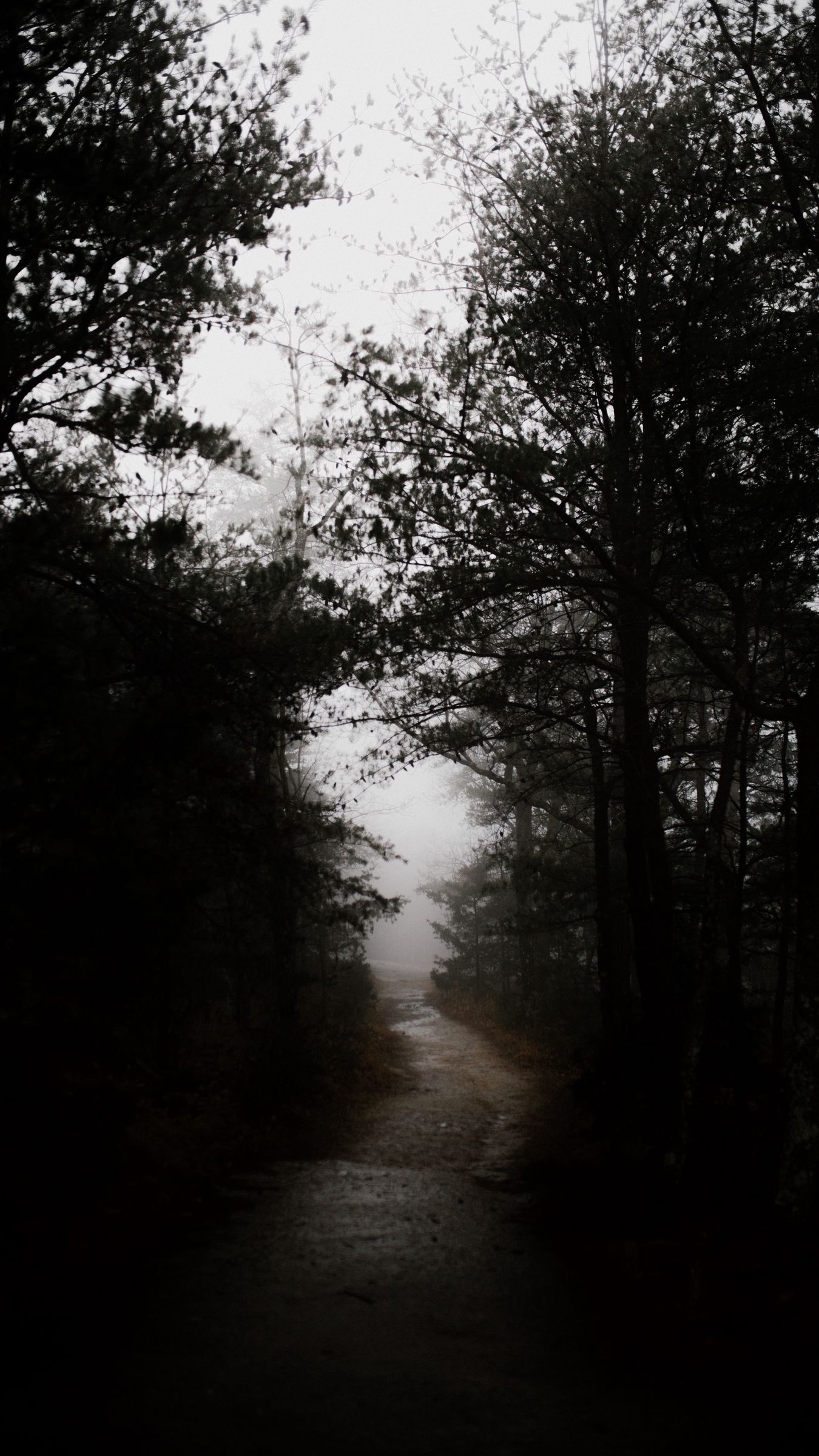 Download wallpaper 1350x2400 dark