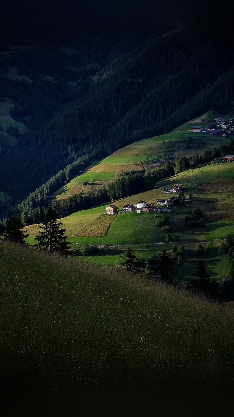 Hill Town Dark Nature Green Forest