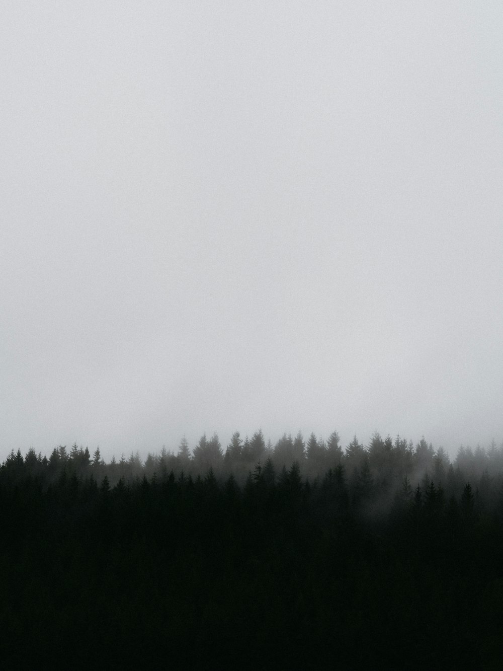 iPhone wallpaper best free iphone