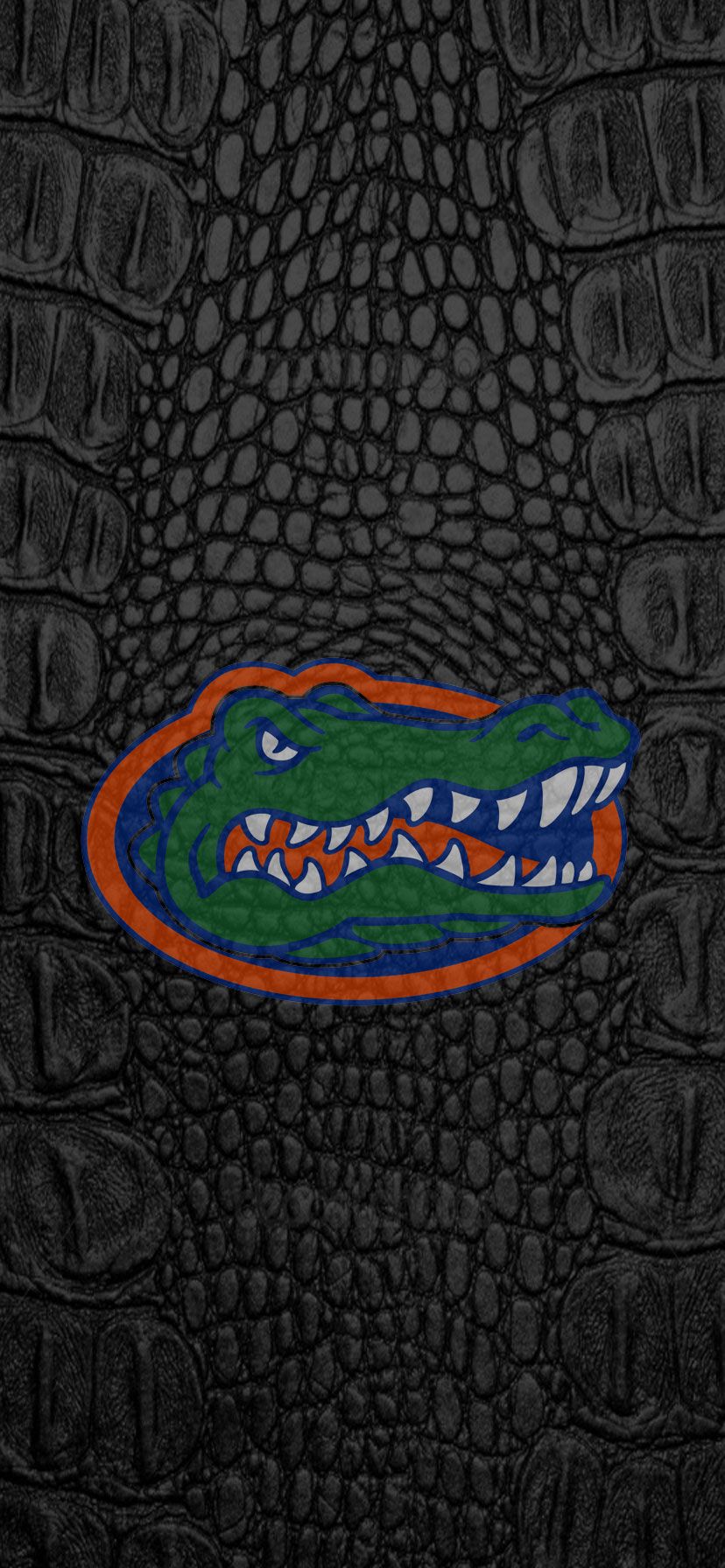Florida gators football wallpaper