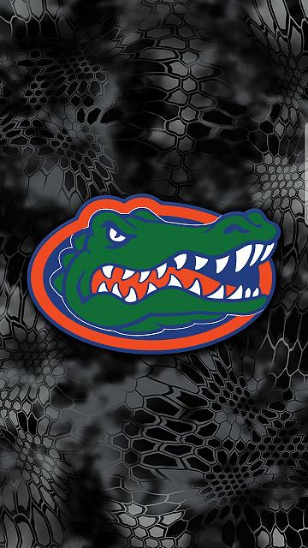 Florida Gators iPhone Wallpapers Wallpaper Cave