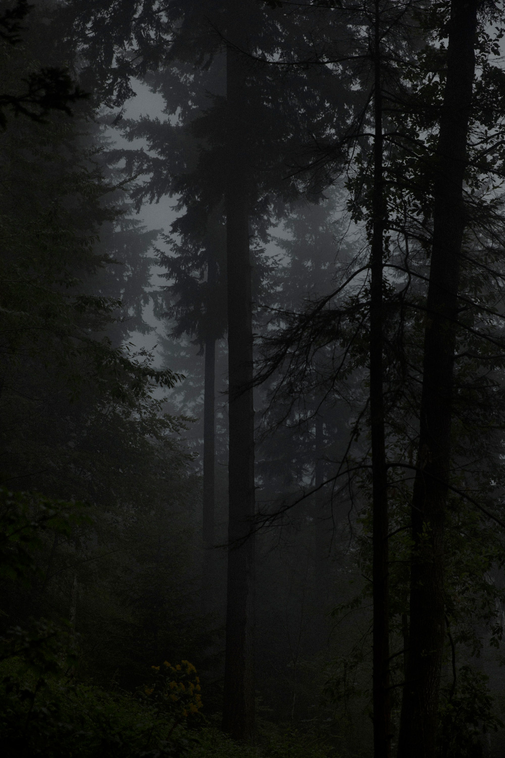 Lena Giovanazzi Photography