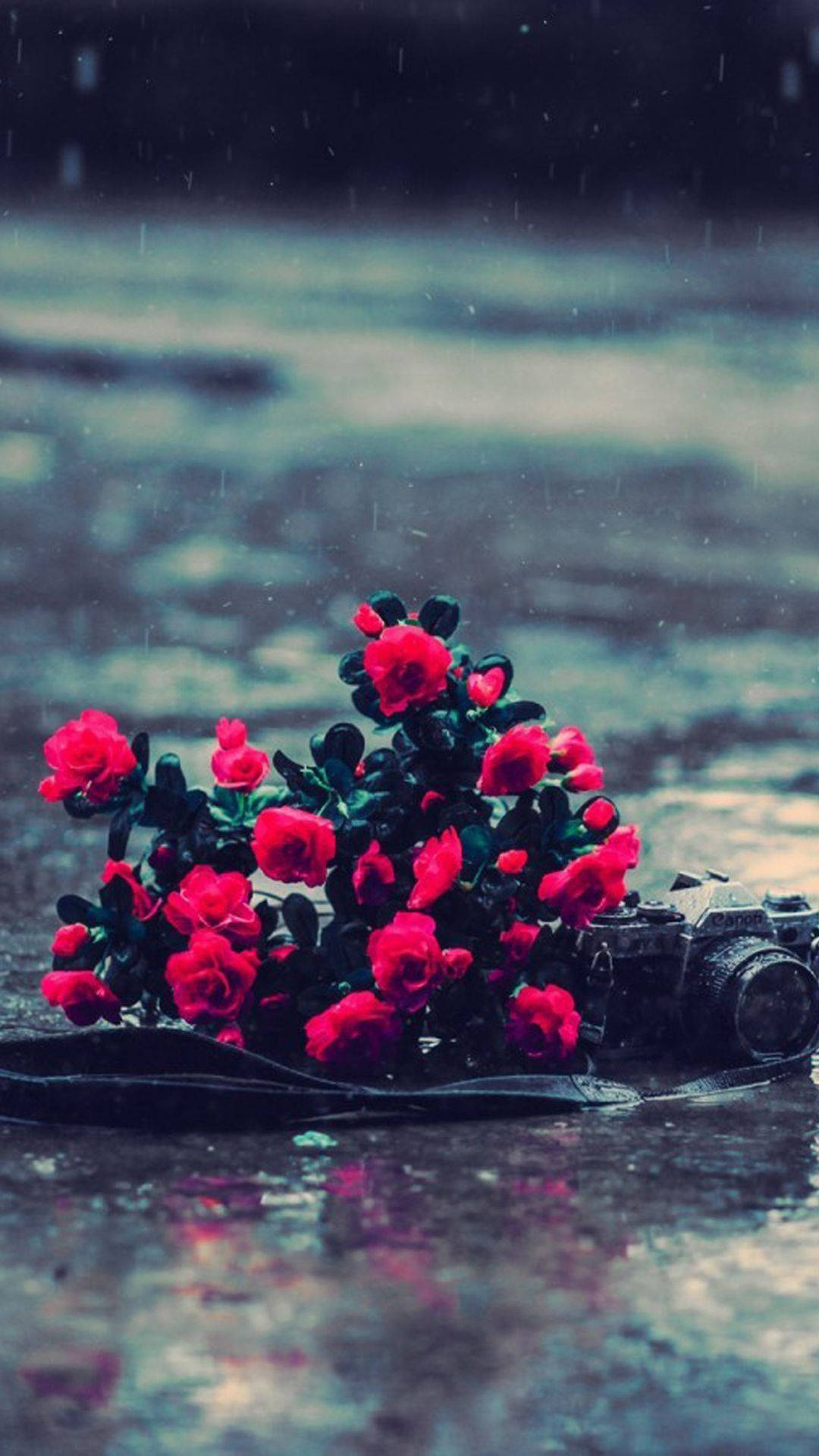 iPhone Rain Wallpaper