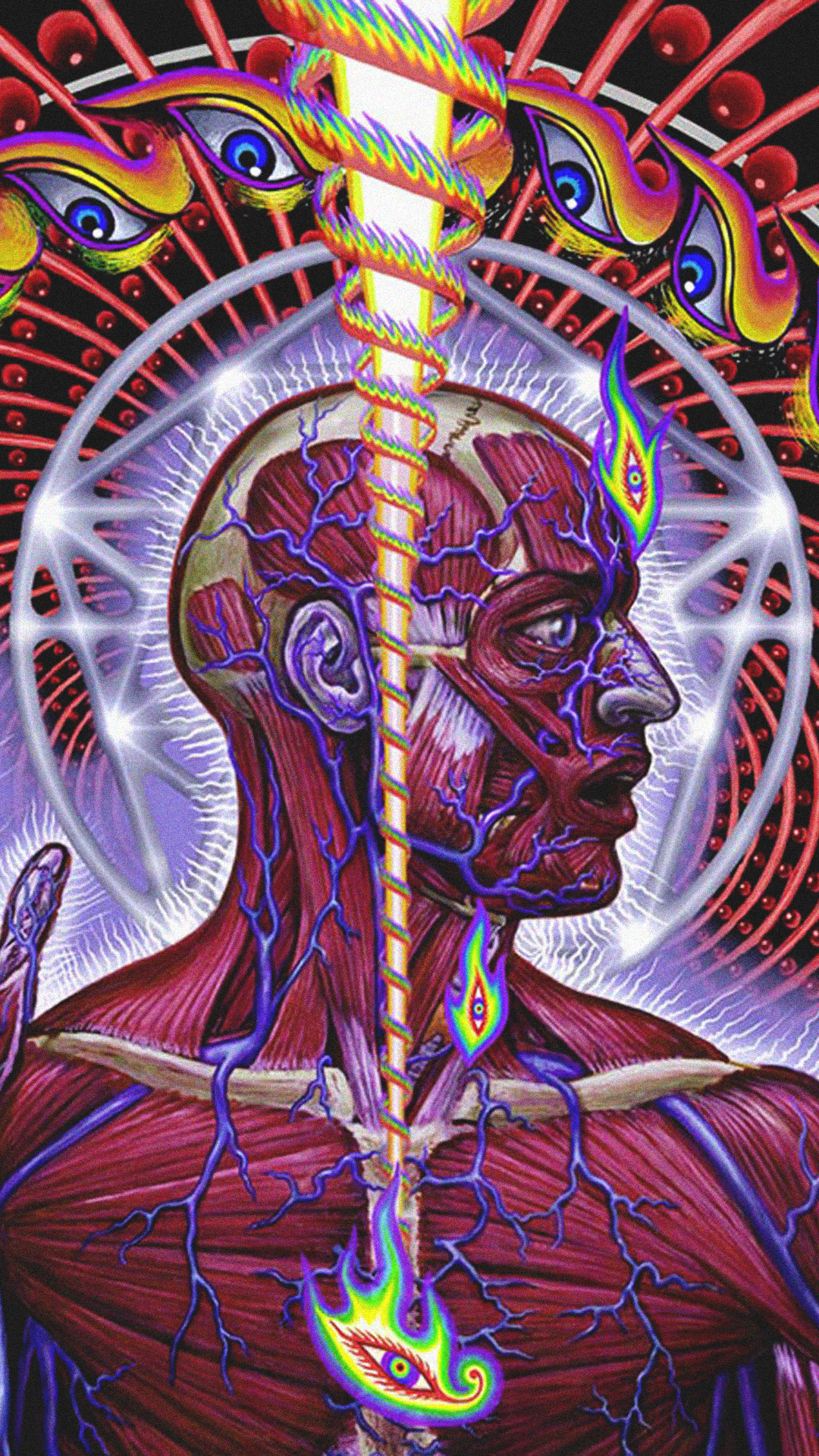 Lateralus Phone Wallpaper 1080x1920
