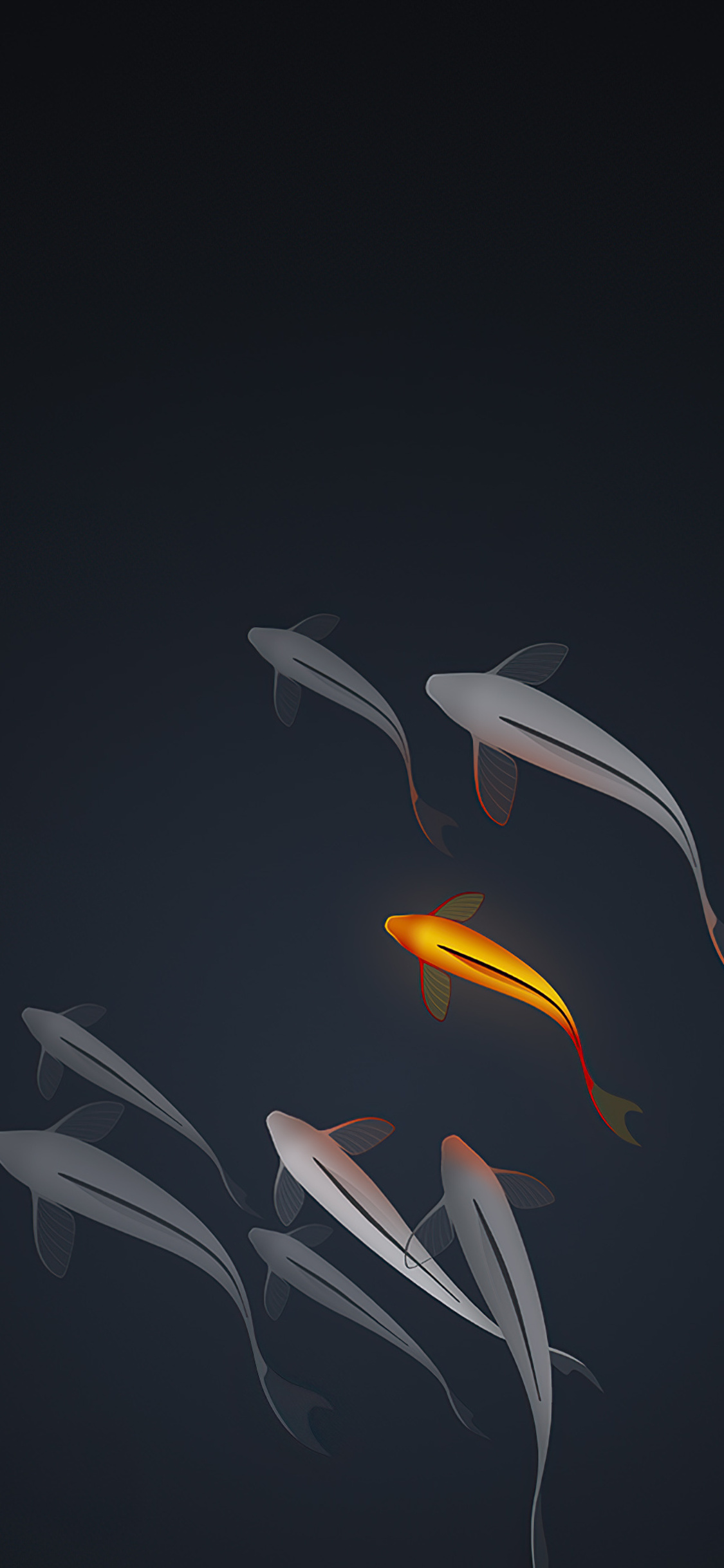 Koi Fishes Minimal 4k iPhone