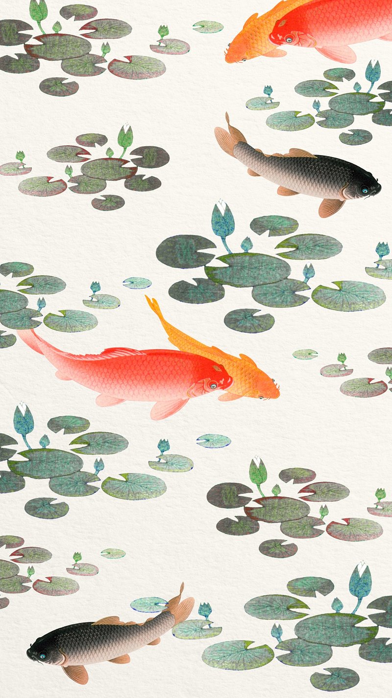 Koi Fish iPhone Wallpapers - Wallpaper Cave