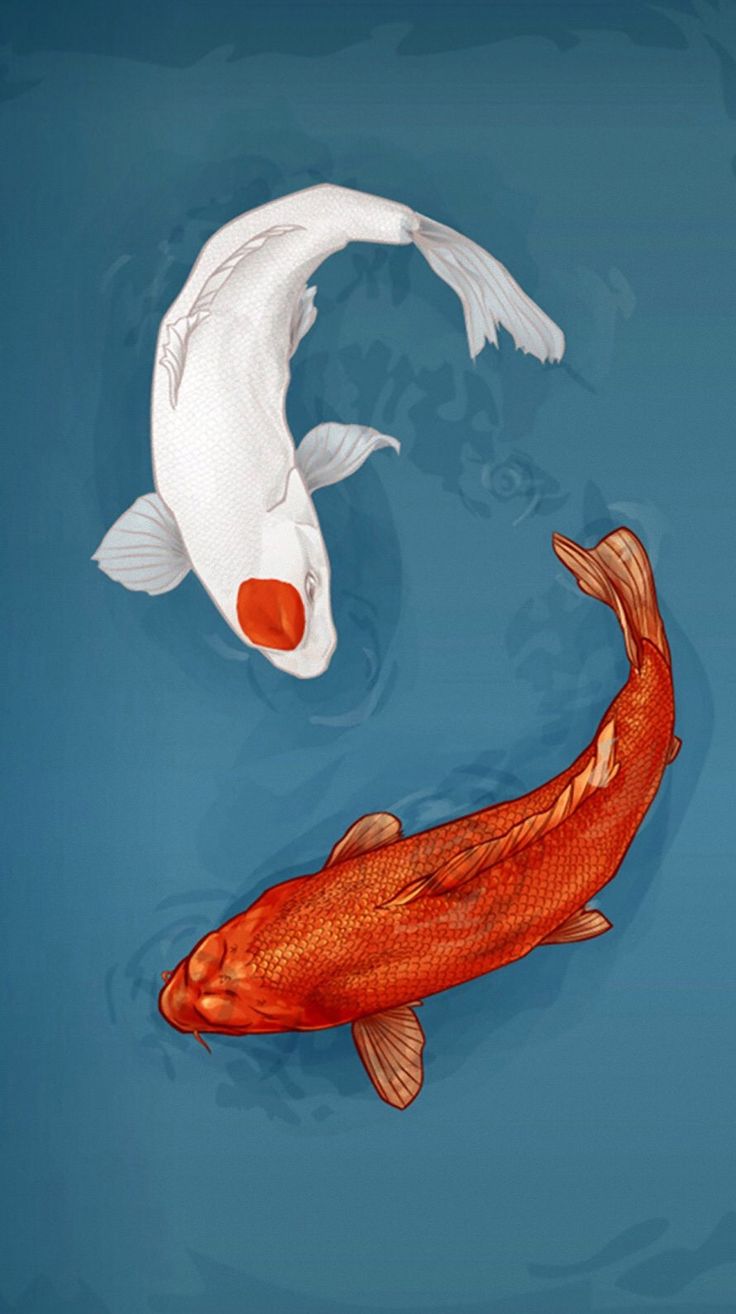 Koi art, Fish drawings, Fish wallpaper