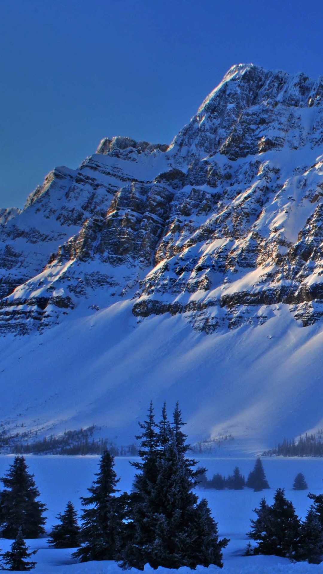 Winter iPhone Wallpaper