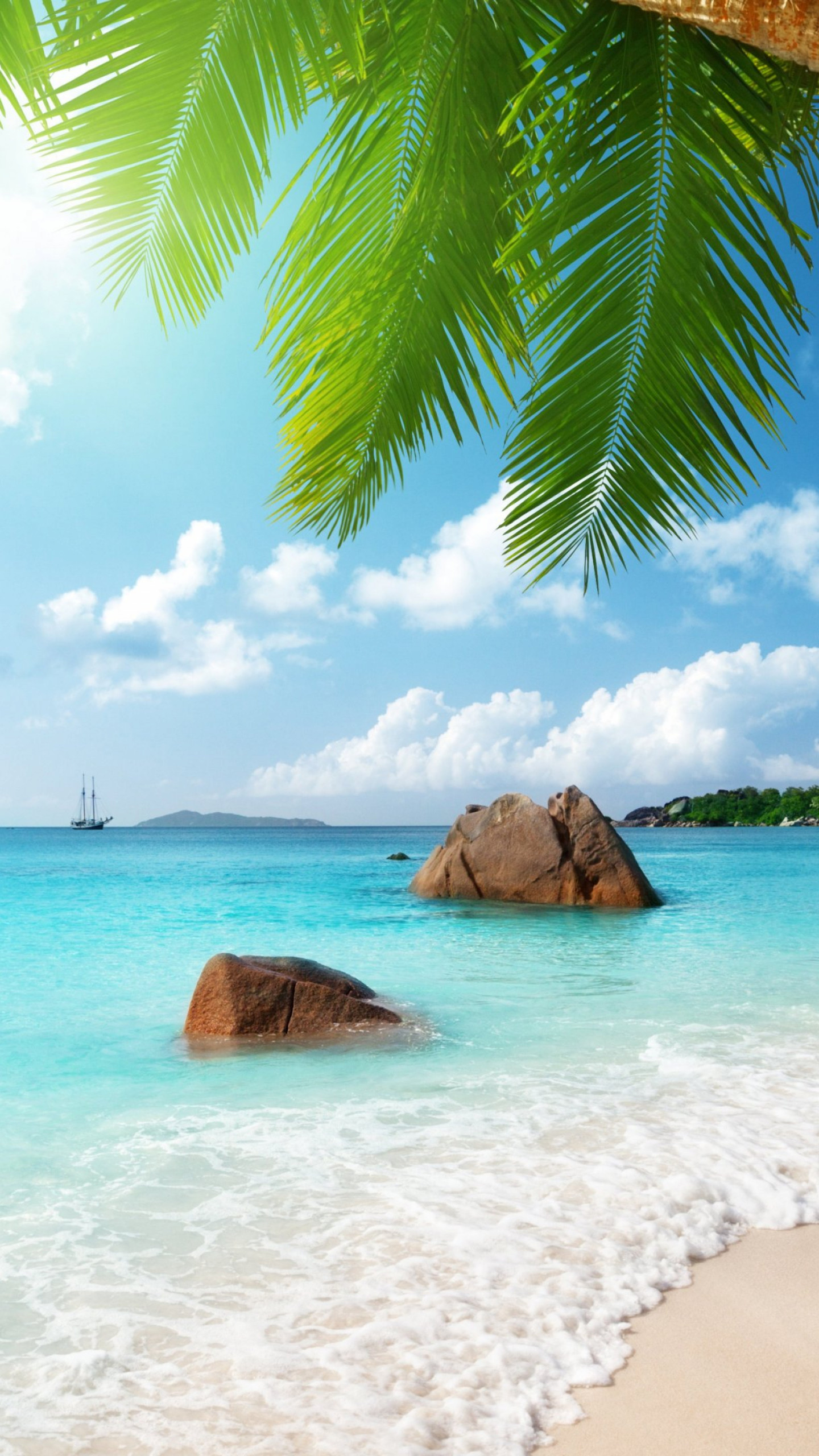 Wallpaper beach, 5k, 4k wallpaper, palm