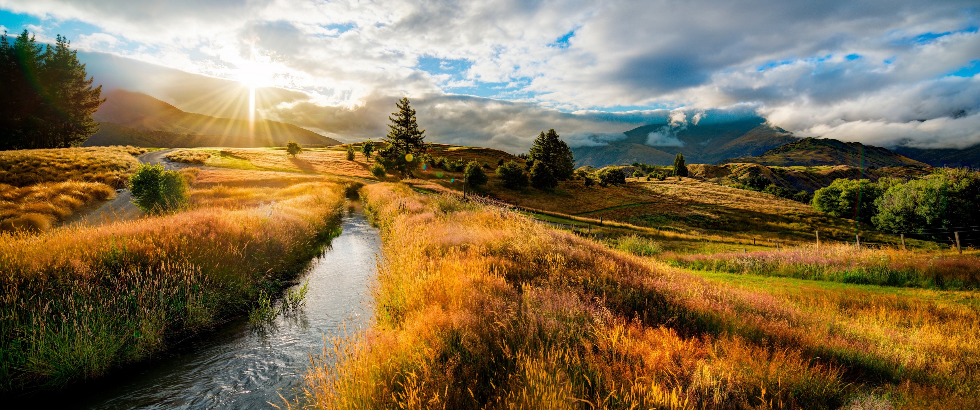 Quad HD 1440P , HD 4k Wallpaper