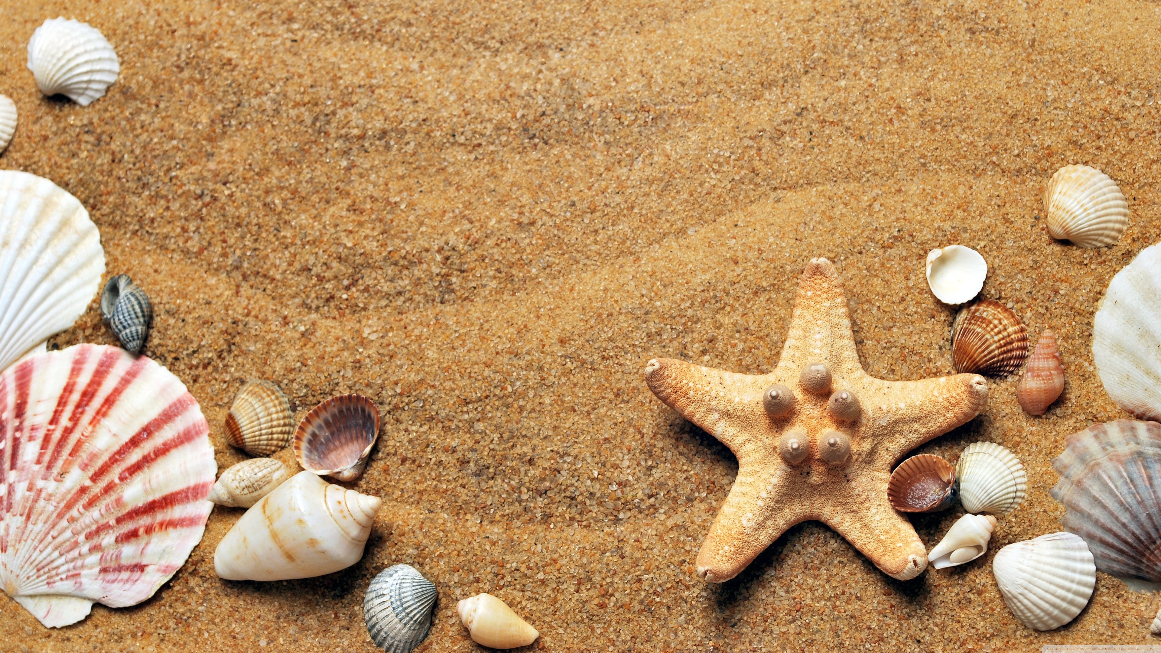 Desktop Background Wallpaper