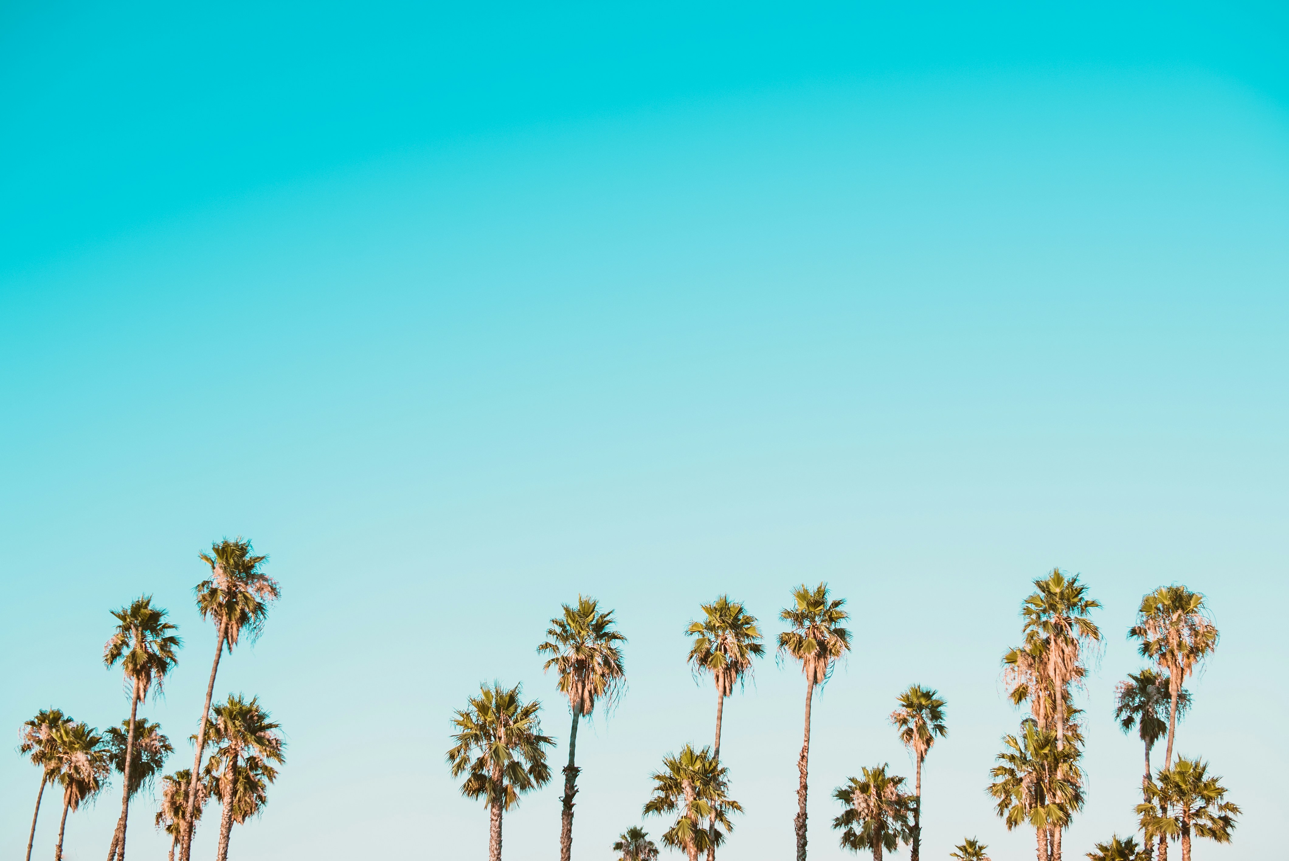 California Wallpaper: Free HD Download