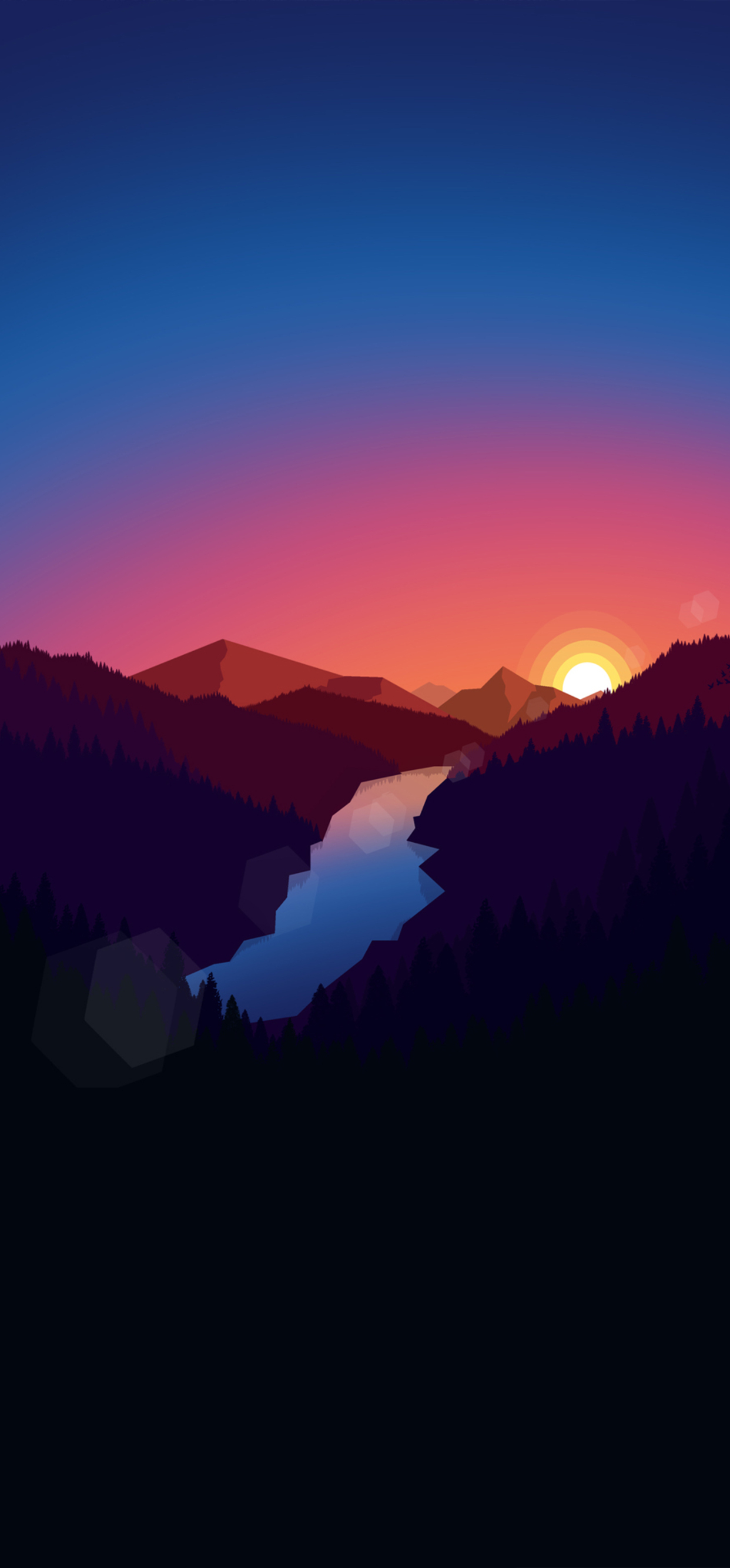 Forest Dark Evening Sunset