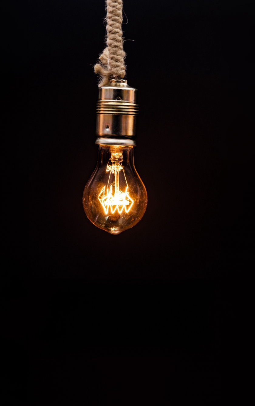 Download wallpaper 840x1336 light bulb