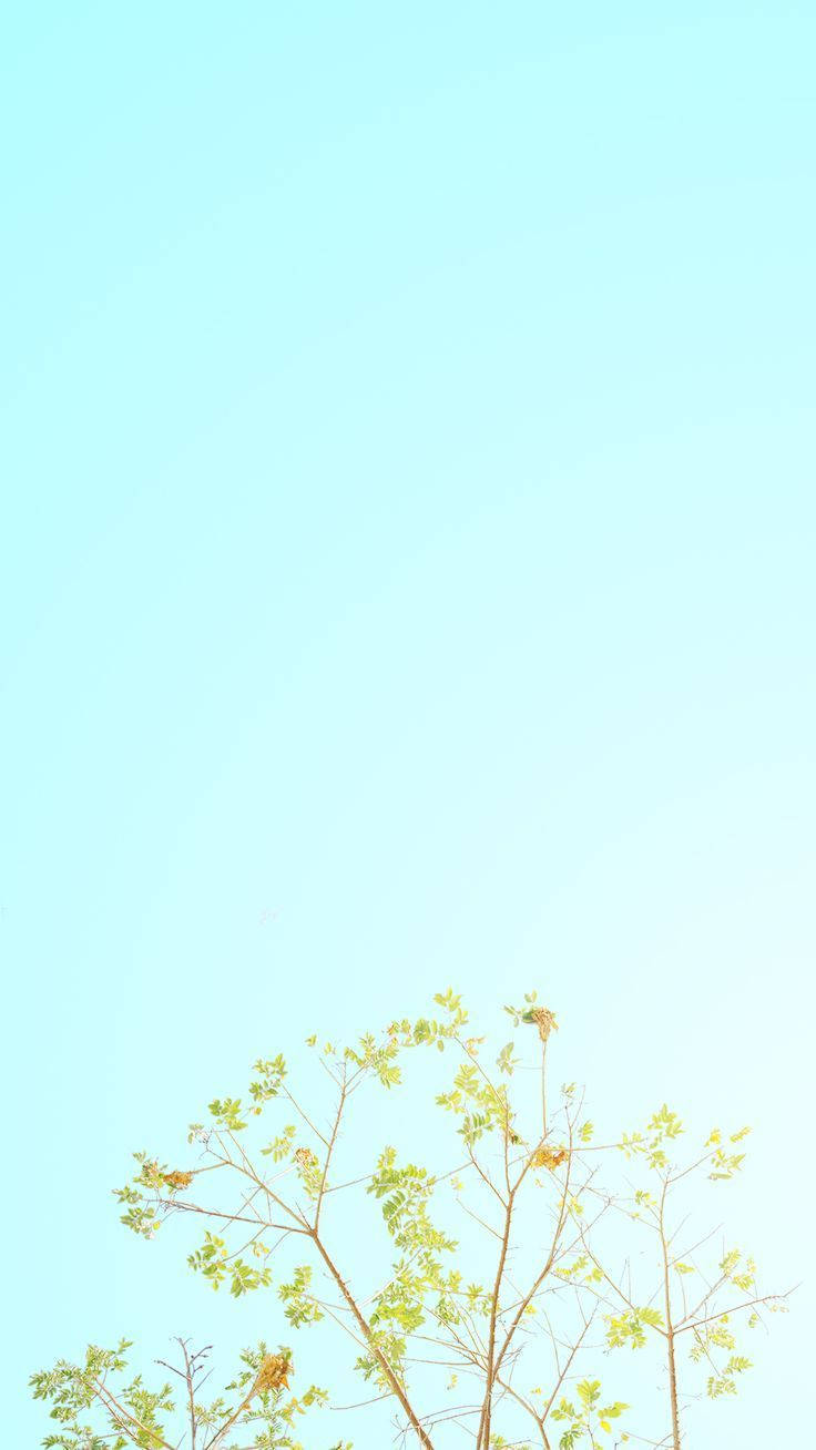 Light Blue Pastel iPhone Wallpaper