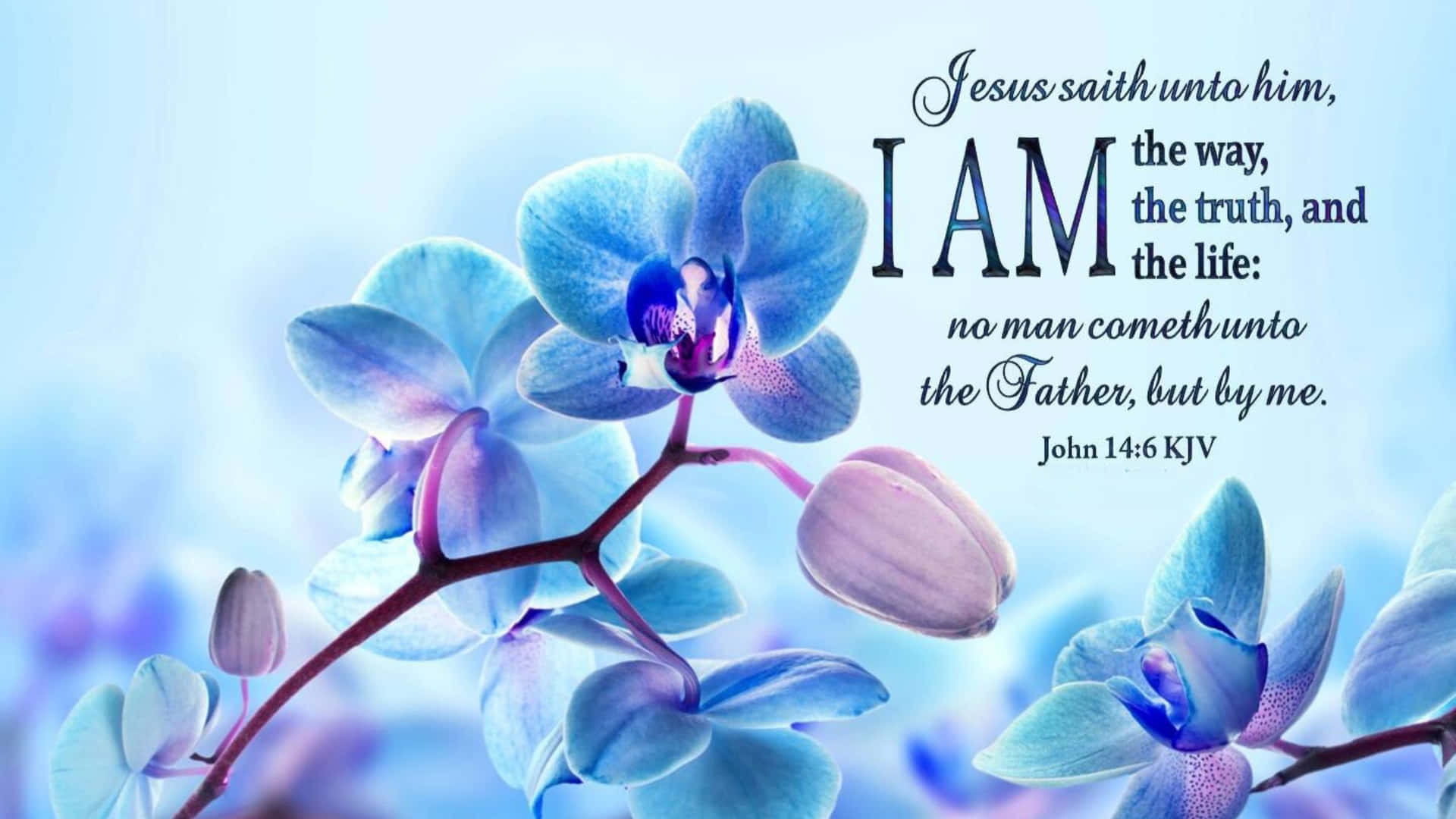 Bible Verse Desktop Wallpaper