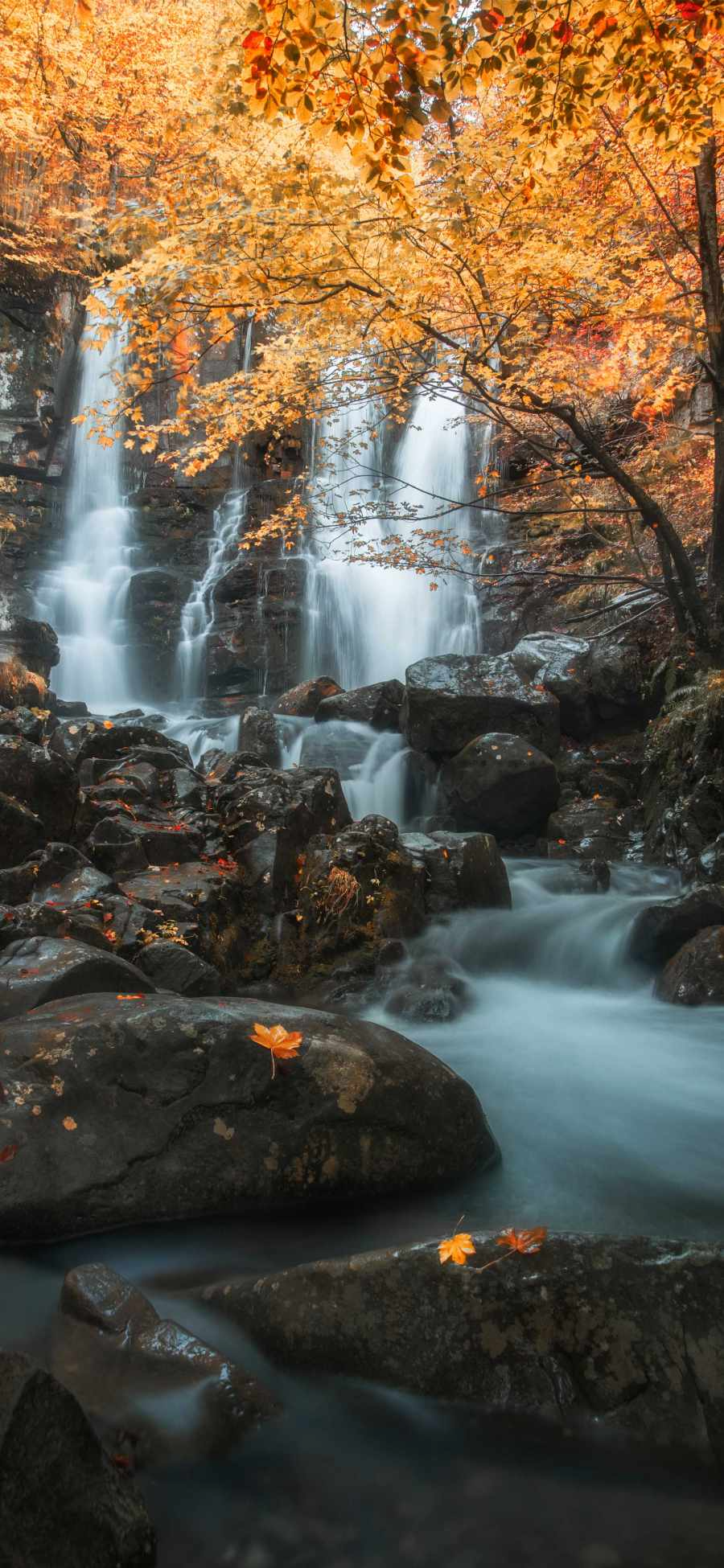 Foliage Waterfall IPhone Wallpaper