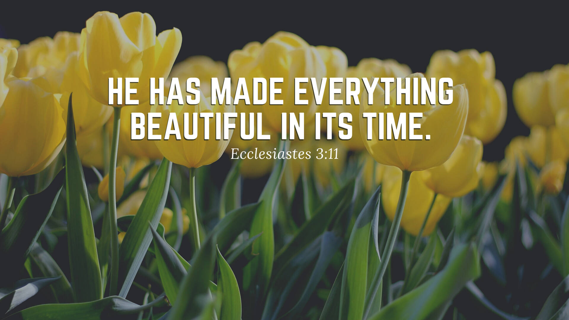 Download Bible Quotes Wallpaper