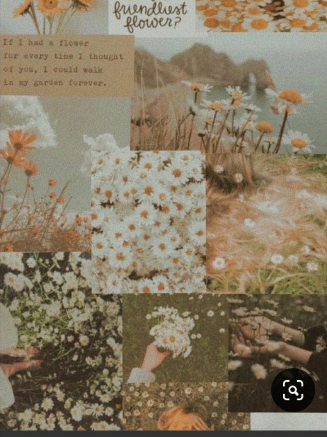 Ёстетика. Flowers, Wallpaper, Love flowers