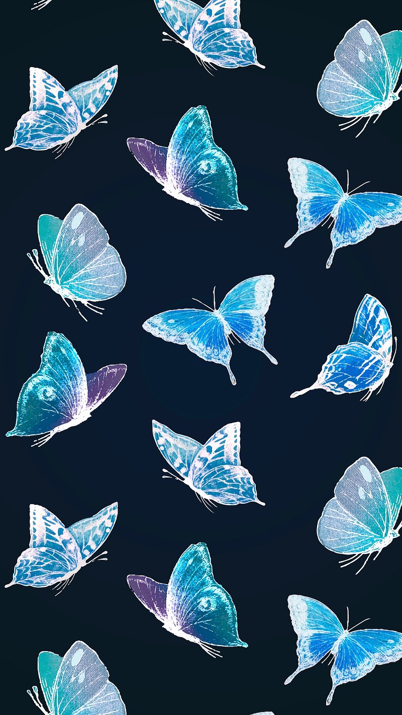 Blue Butterfly Wallpaper Image Wallpaper