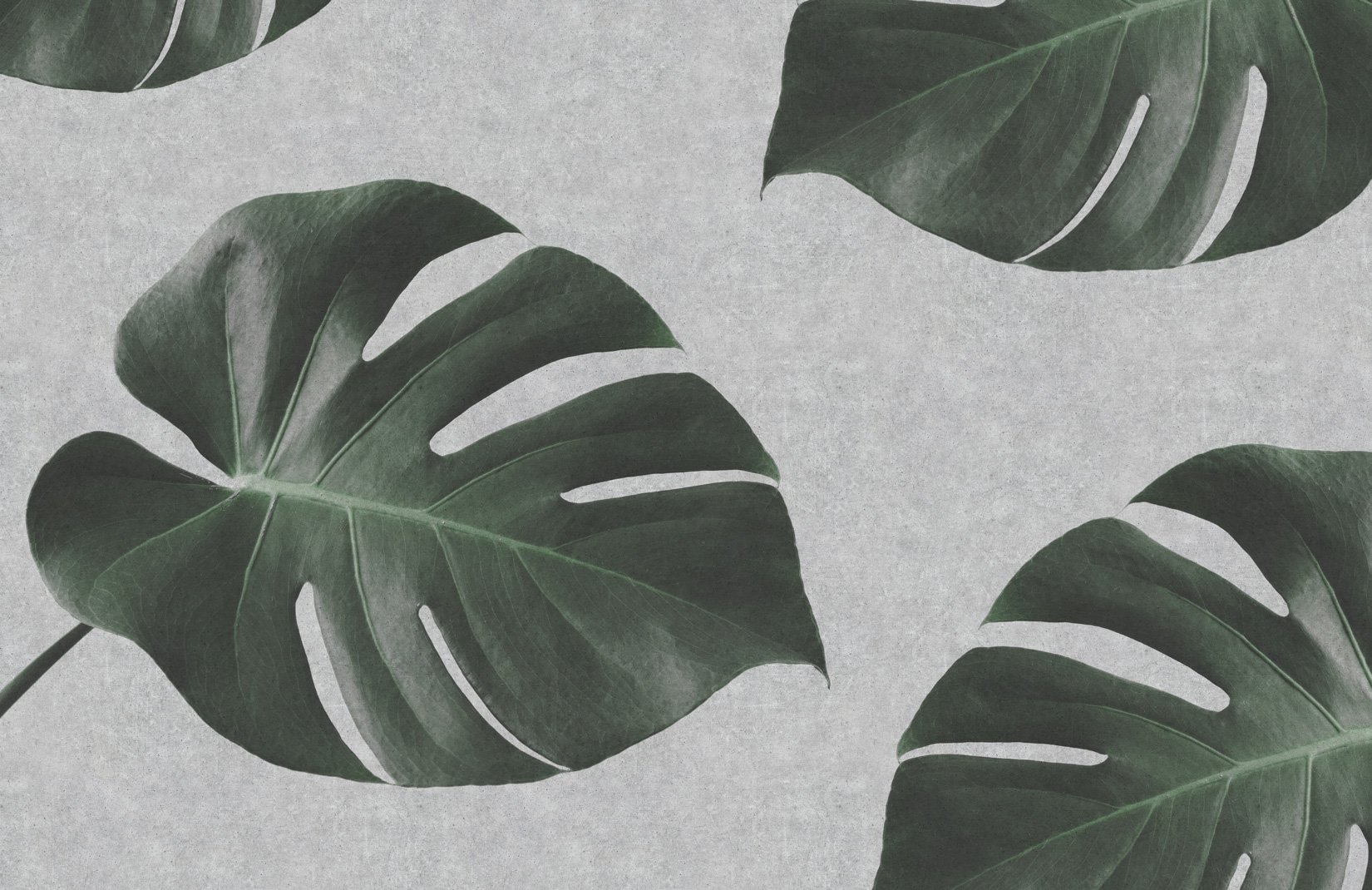 Biophilic Monstera Leaf Industrial