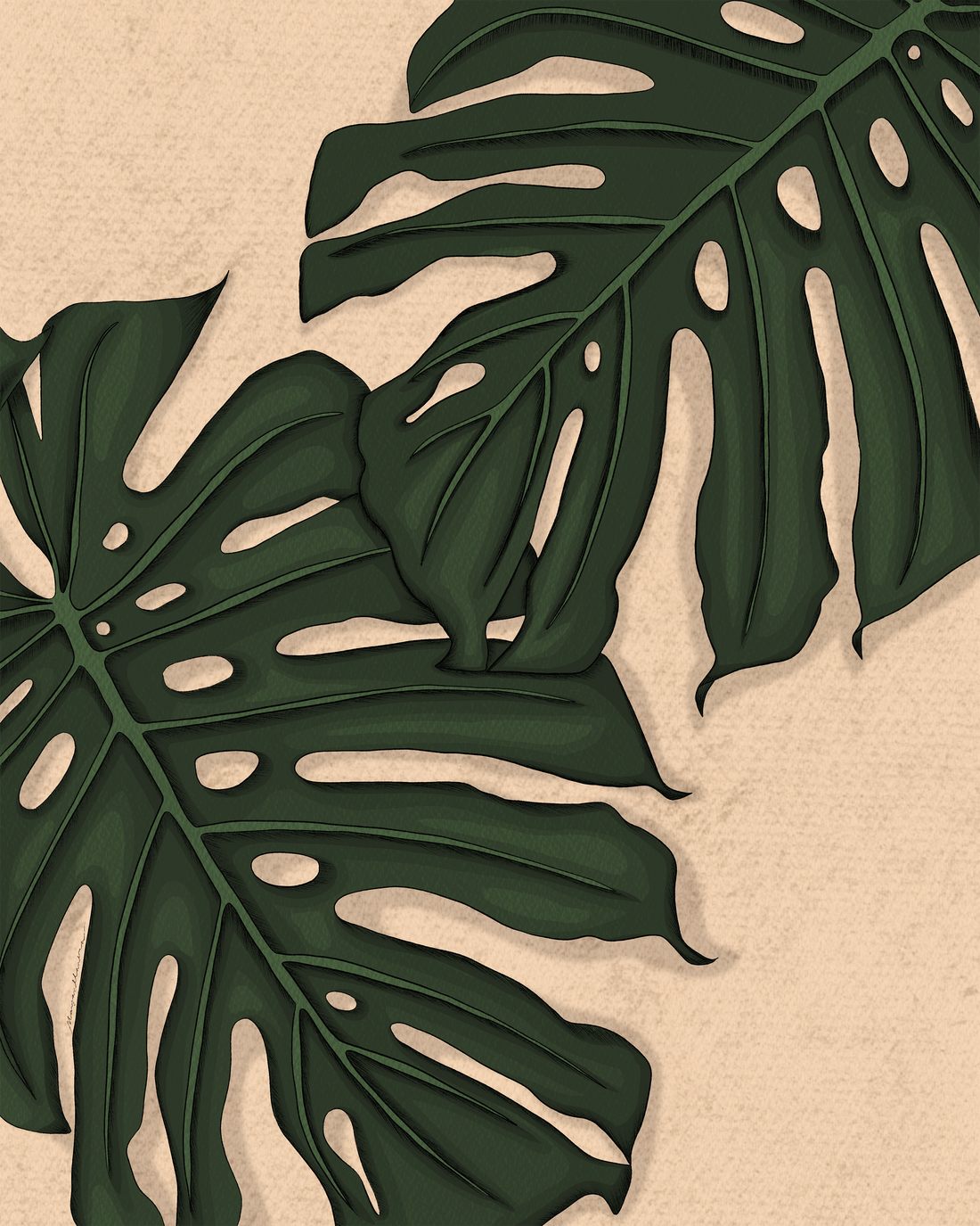 Monstera Deliciosa Art Print