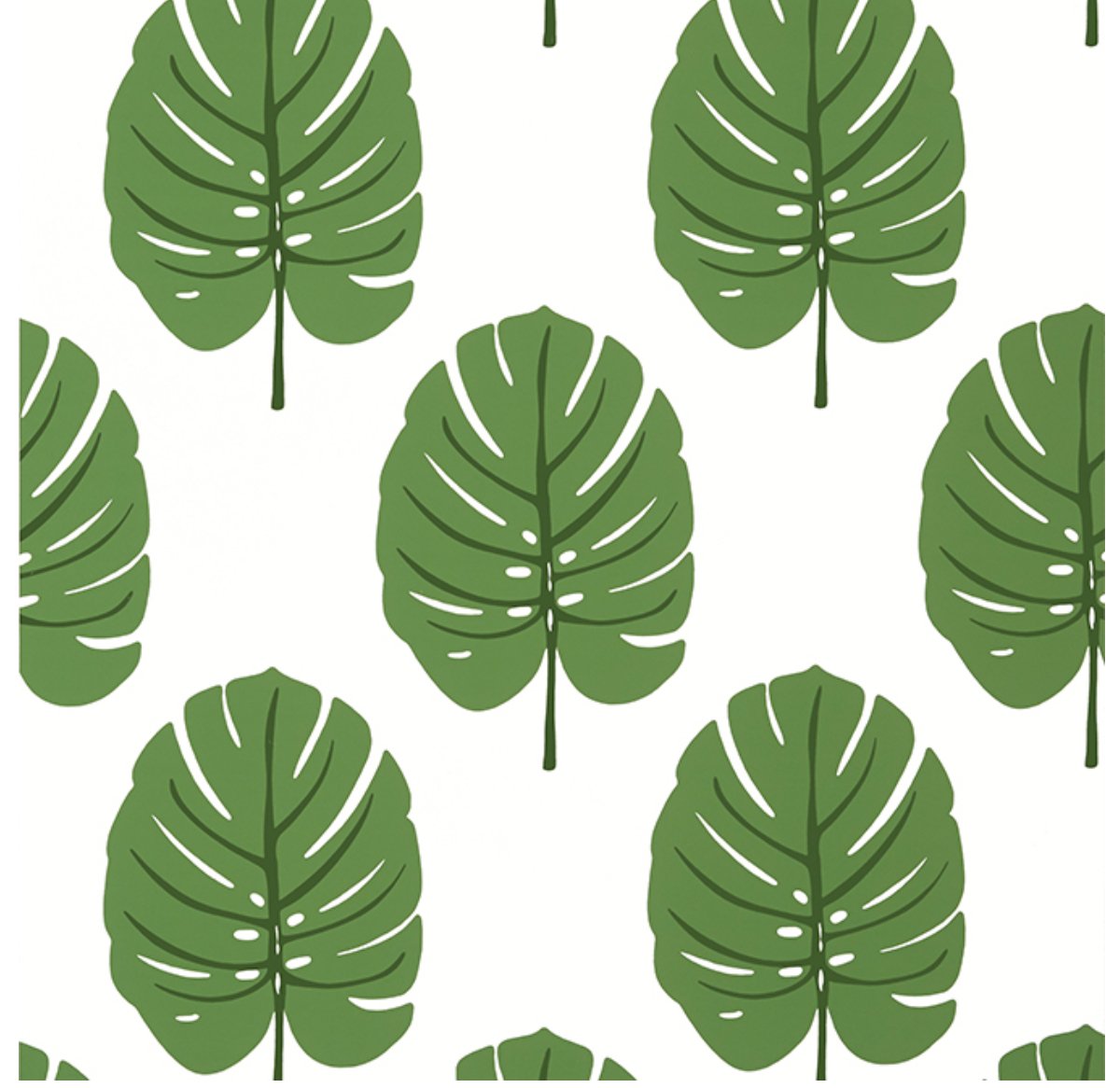 Monstera Wallpaper