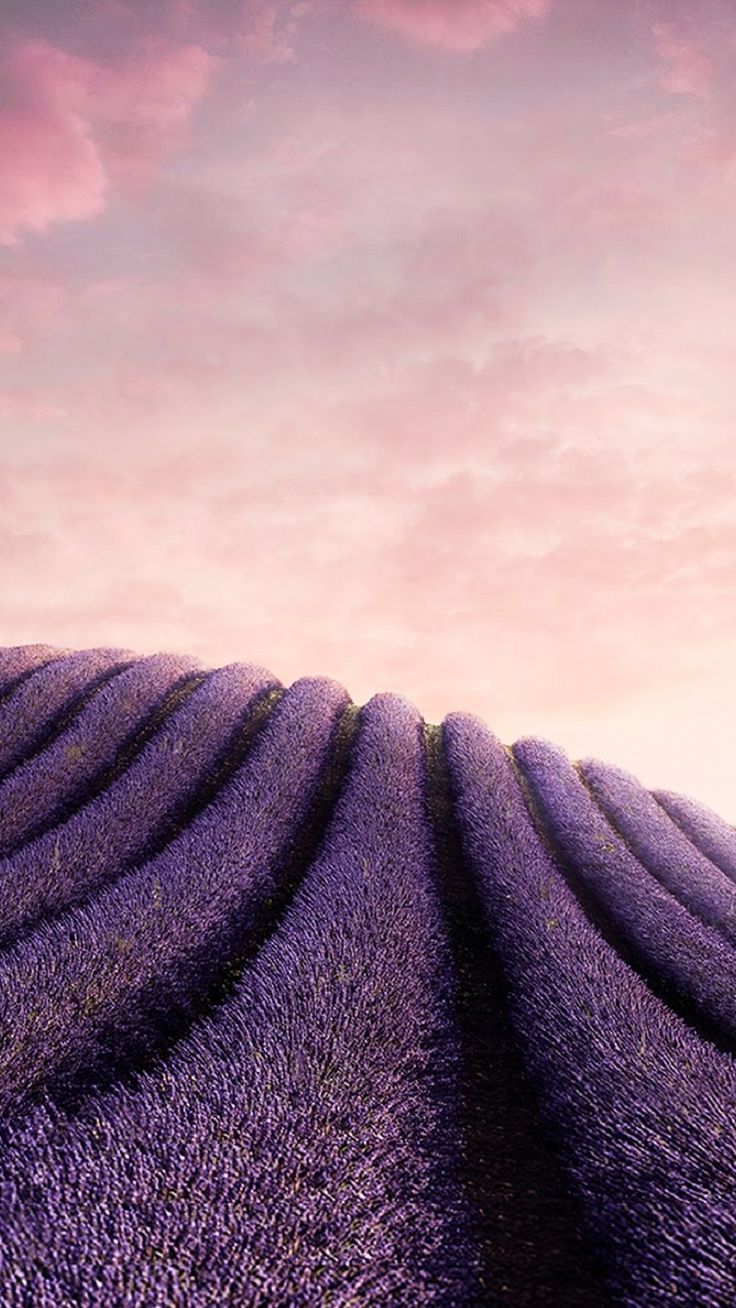 Samsung galaxy s8 orchid gray to