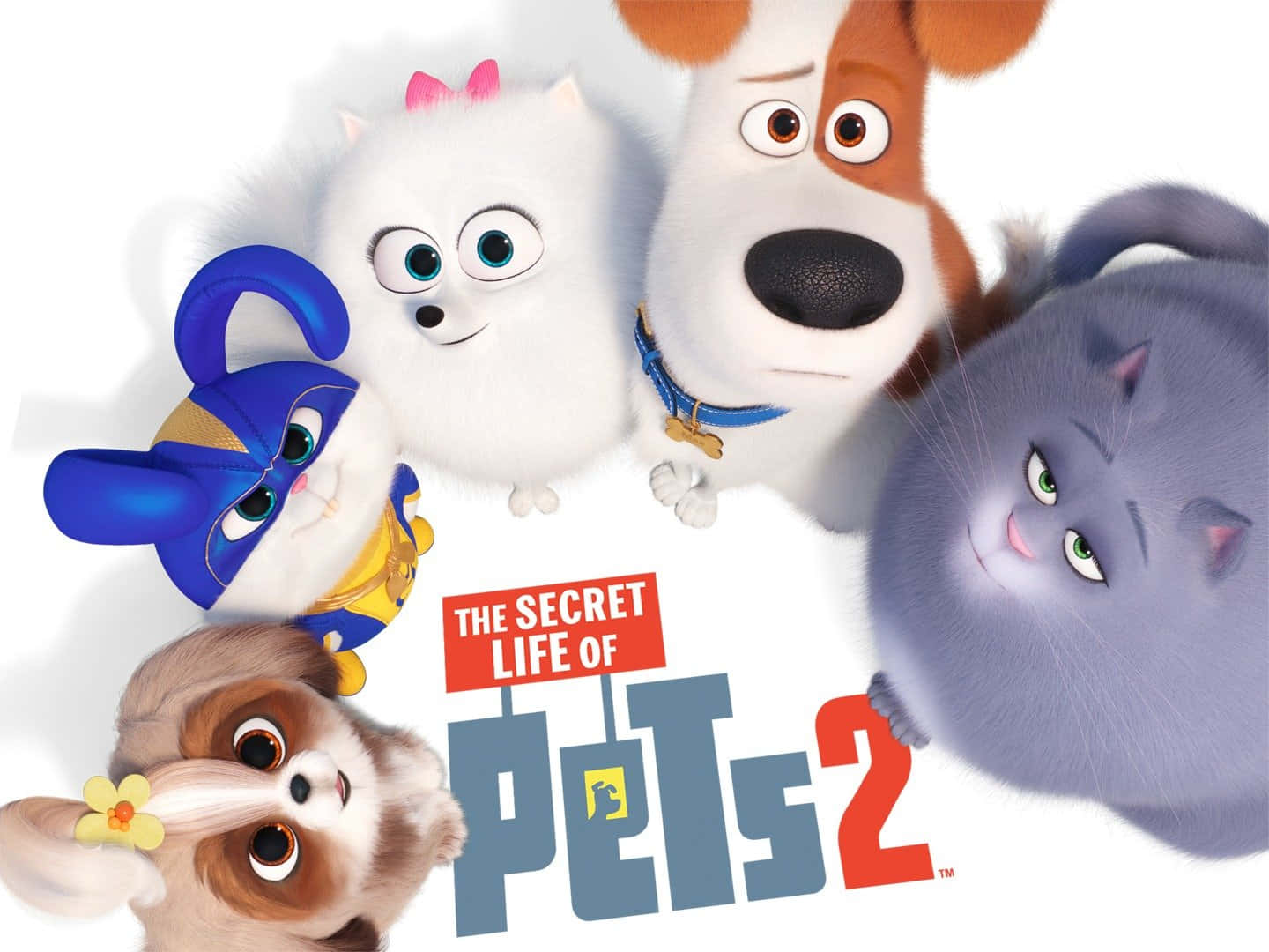 Download The Secret Life Of Pets 2 Look Up Wallpaper