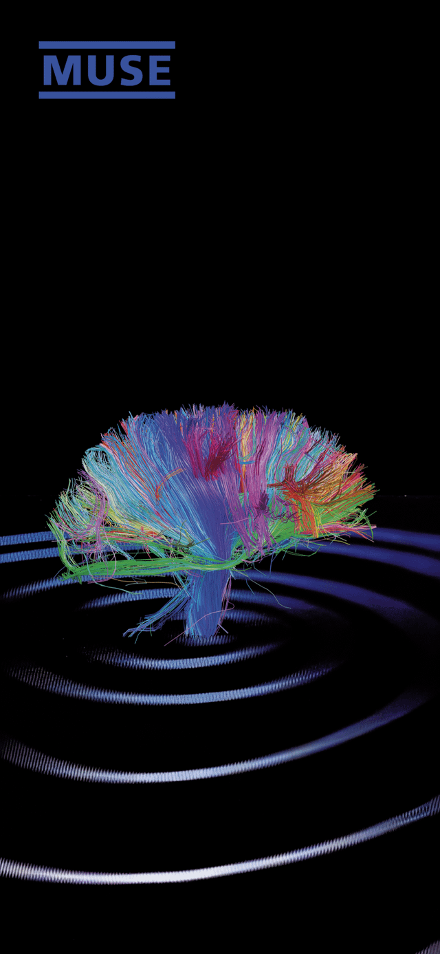 Made some more amoled Muse wallpaper